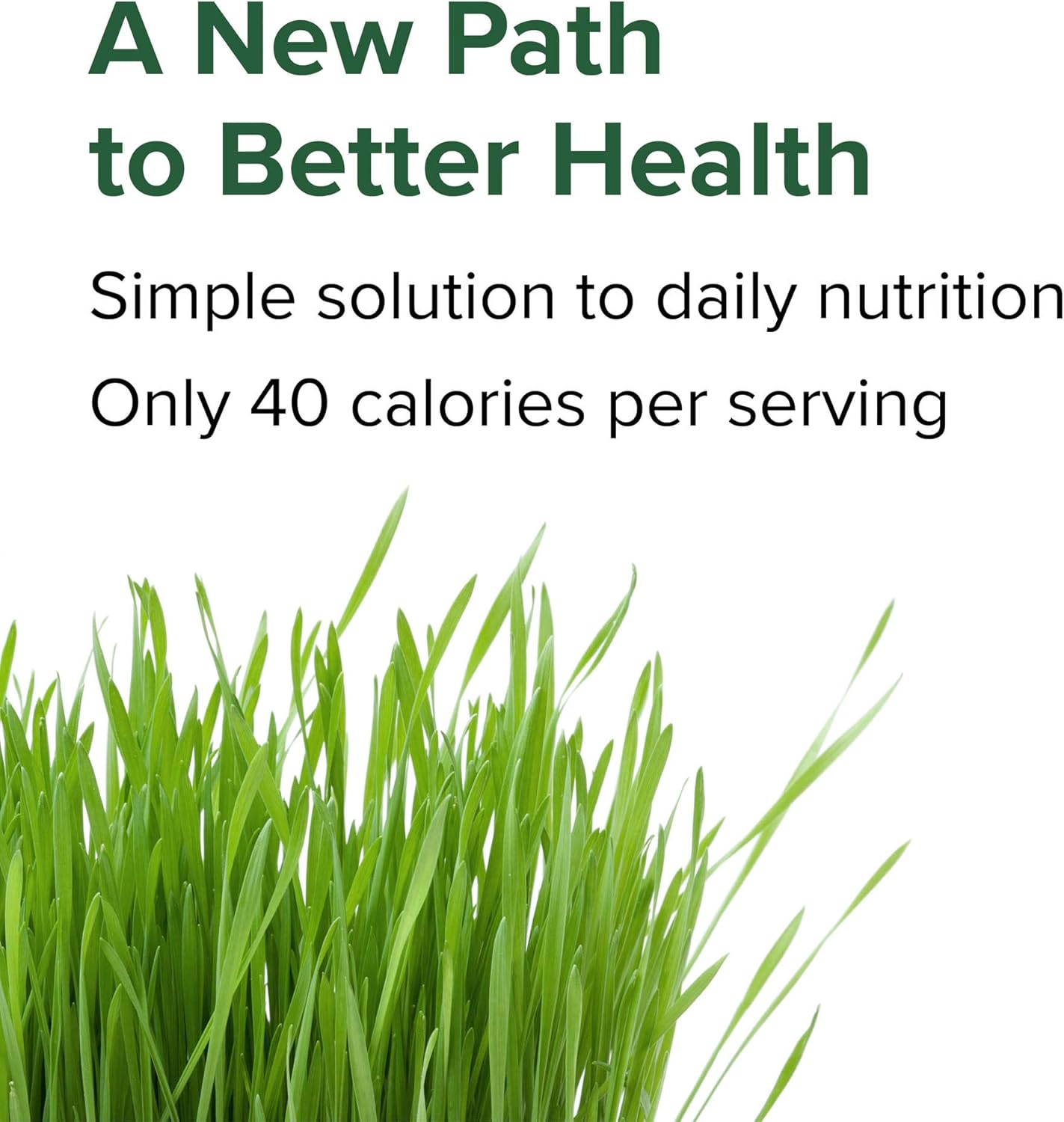 green-vibrance-vegan-superfood-pills---240-count-for-vibrant-health-3