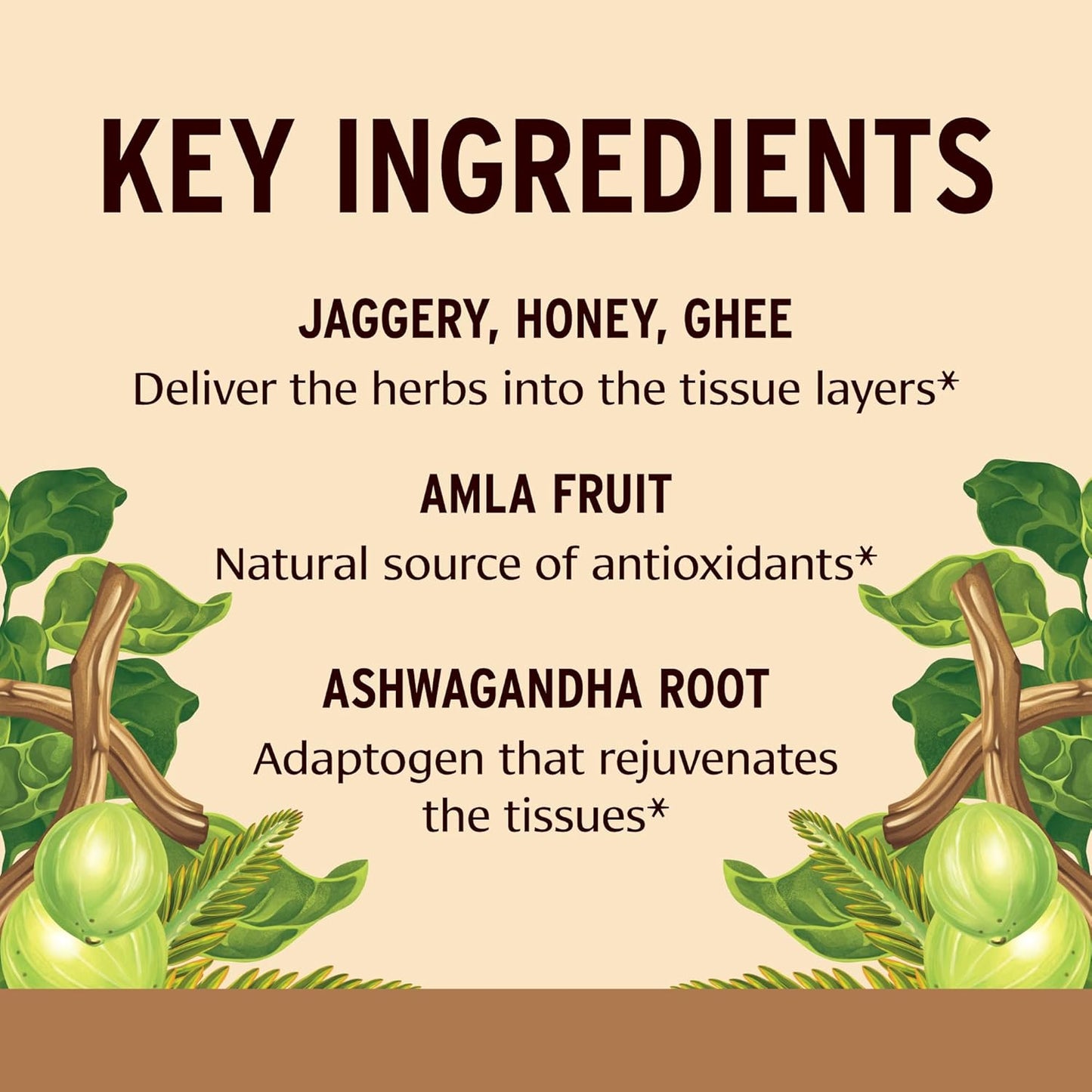 organic-ayurvedic-herbal-jam-with-raw-honey-amla-ashwagandha---immune-support-superfood---176-oz-4