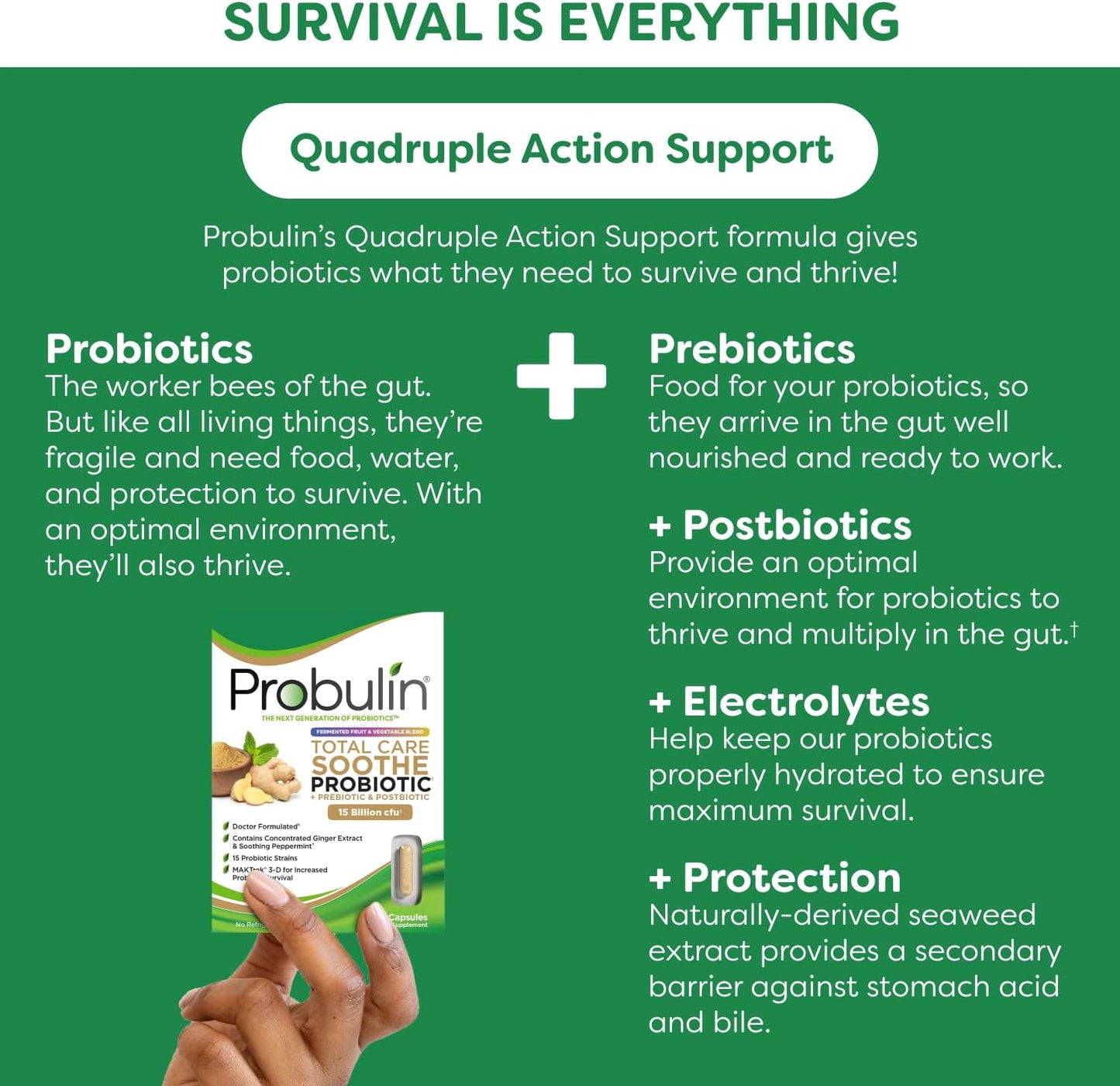 probulin-total-care-soothe-capsules-with-prebiotic-probiotic-postbiotic-ginger-mint---15-billion-cfu-30-vegan-capsules-7