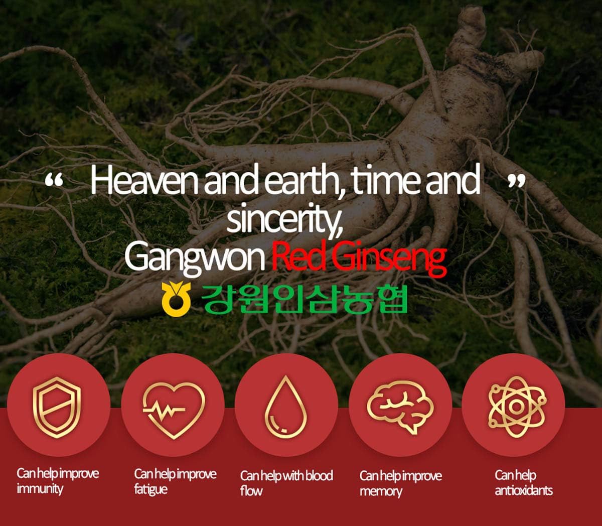 korean-red-ginseng-extract-ginseno25-240g---100-pure-6-year-old-red-ginseng-root-extract-from-gangwoninsam-9