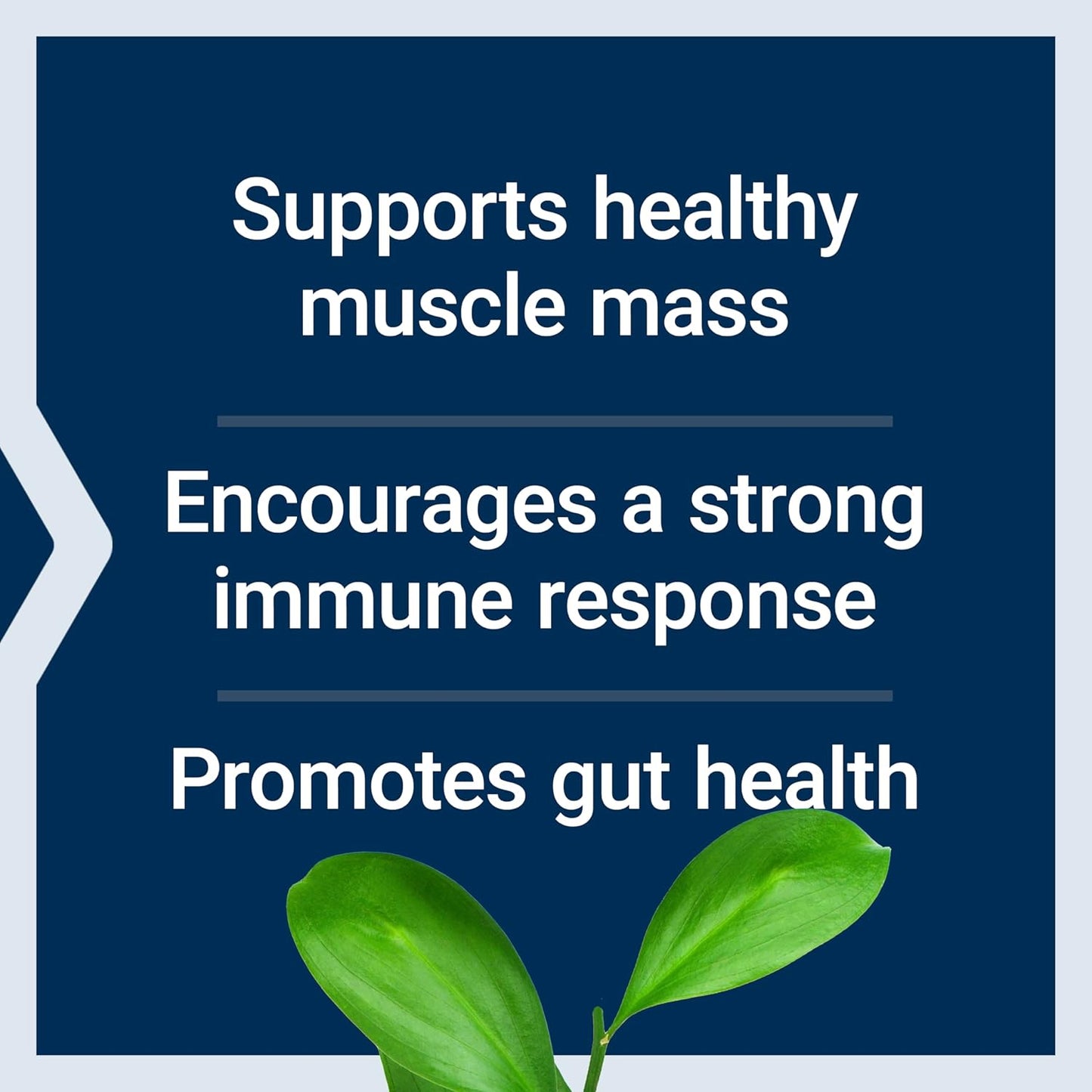 l-glutamine-powder-for-muscle-and-immune-health-non-gmo-and-vegetarian-100g-4