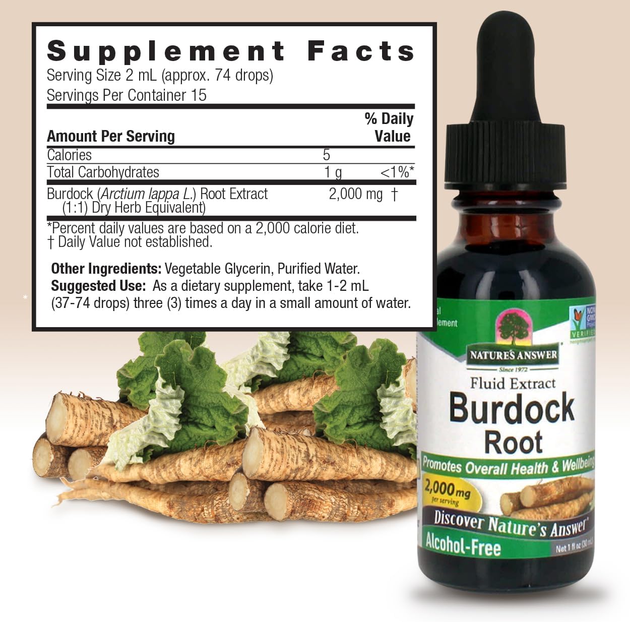 alcohol-free-burdock-root-extract-1oz---usa-made-vegan-non-gmo---supports-wellness-immune-system-lymphatic-drainage-3