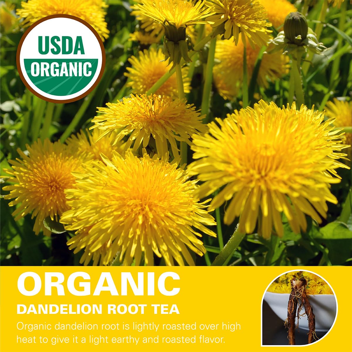 organic-roasted-dandelion-root-tea-bags---usda-certified-herbal-tea---100-count---caffeine-free---supports-health---rich-in-vitamins-2