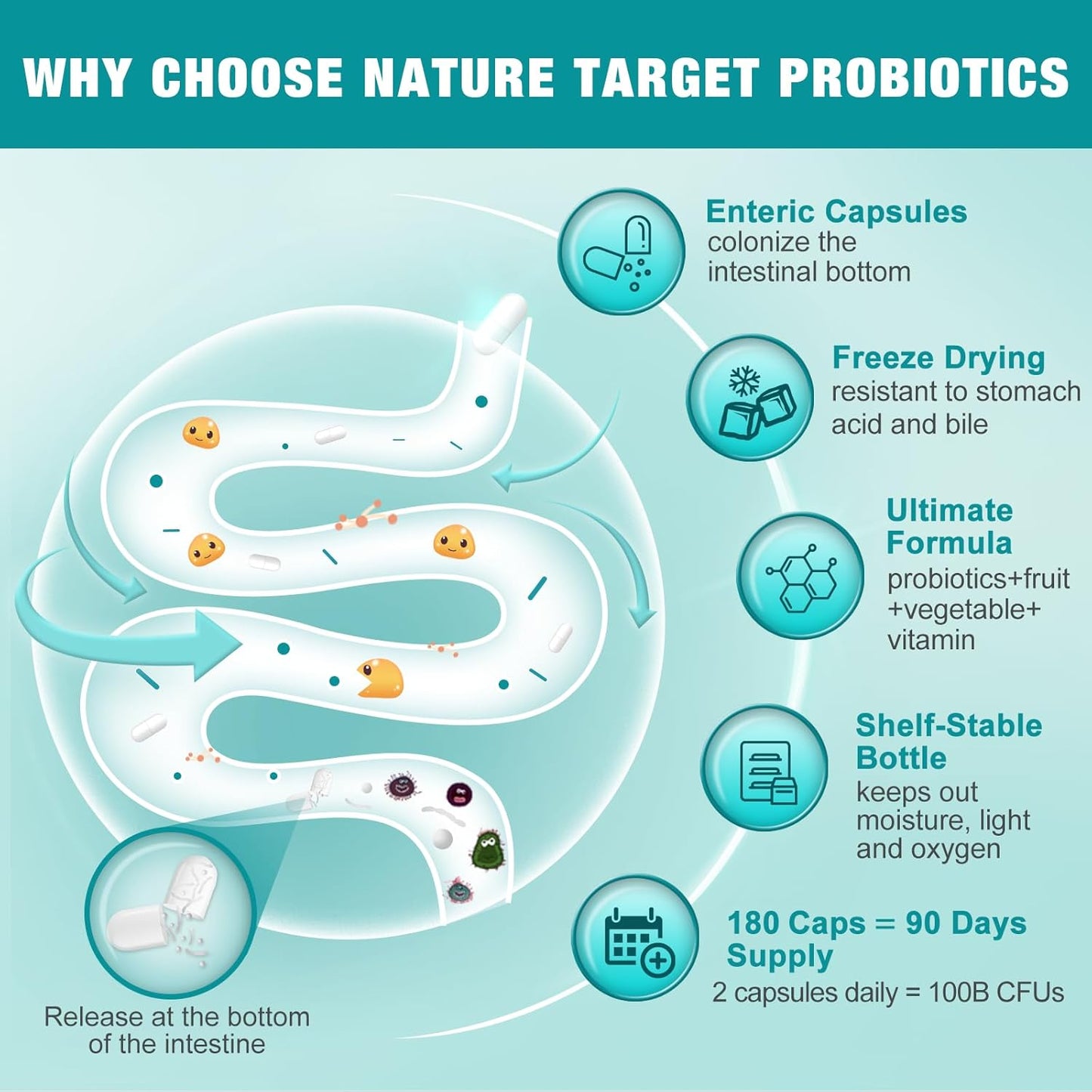 high-potency-probiotic-for-gut-health-probiotics-for-men-and-women-100-billion-cfus-with-prebiotics-180-veggie-capsules-digestive-and-immune-support-90-day-supply-2