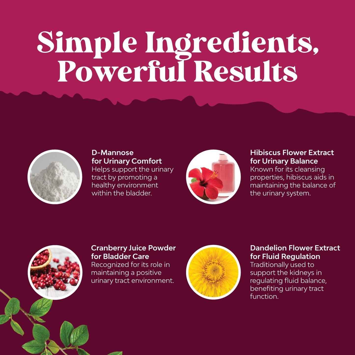 High Potency D-Mannose Capsules with Cranberry & Dandelion for Urinary Tract Health - Fast Acting Women's Formula - 60 Capsules - Espot.com.au