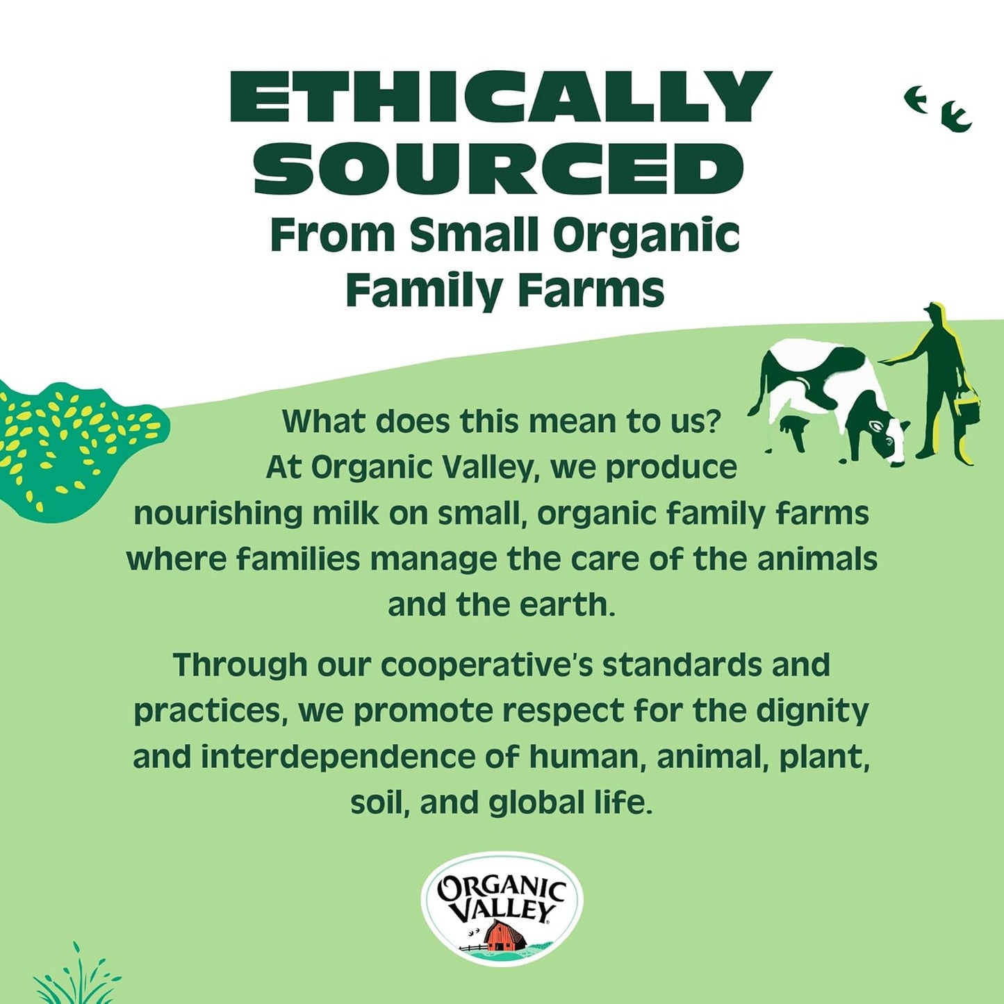 organic-valley-grassmilk-organic-half-and-half-pint---grass-fed-creamer-7