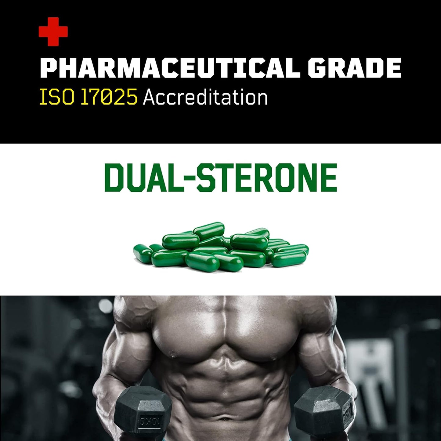 Flight Armour Turkesterone and Ecdysterone Anabolic Supplement - 2 Month Supply (120 Capsules) | Olympic Grade Tested, ISO 17025 Certified | 1000mg - 98%-95% Purity with Lab Synthesized Cyclodextrin - Espot.com.au