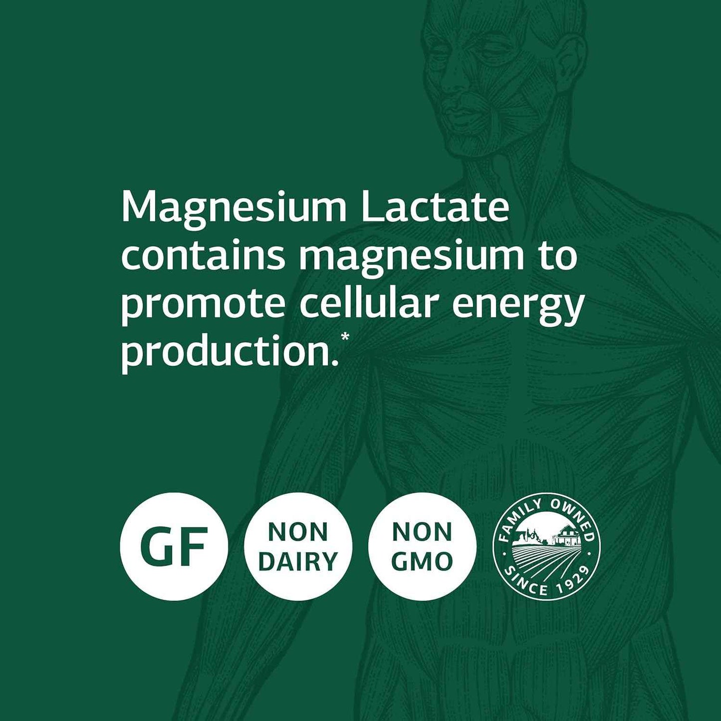 Standard Process Magnesium Lactate Capsules - Supports Cell Energy, Muscle, Bone, Heart & Nervous System - Bioavailable Form - 90 Count