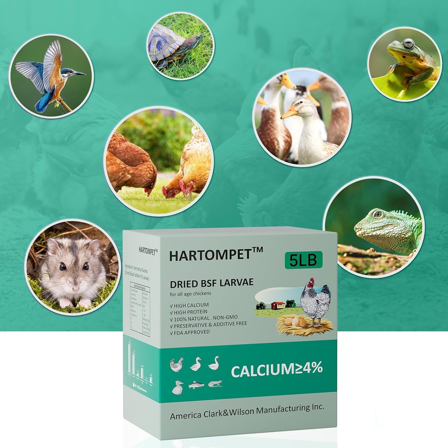 5-lbs-grubsfarm-hartompet-black-soldier-fly-larvae---high-calcium-chicken-feed-additive---non-gmo-treats-for-hens-ducks-wild-birds---superior-to-dried-mealworms-6