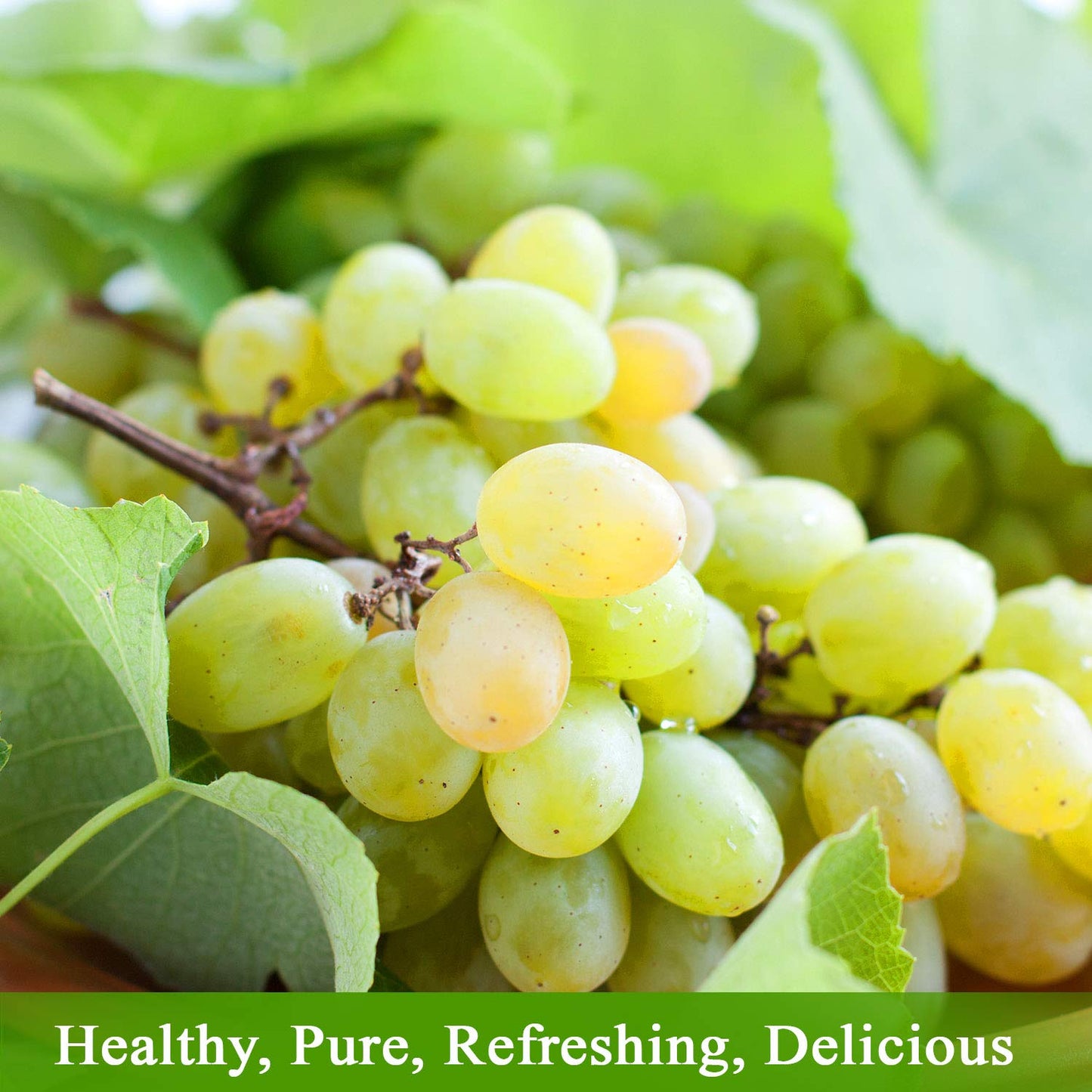 organic-kosher-non-gmo-white-grape-juice-from-austria---254-oz-glass-bottle-pack-of-3---no-preservatives-sulfites-or-water-added-6