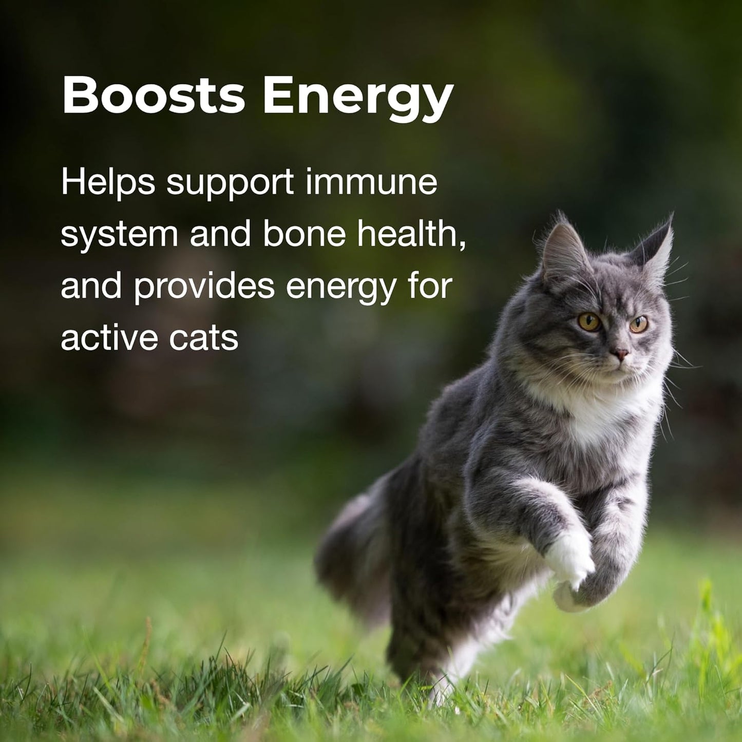 cat-vitamin-mineral-gel-supplement---35-oz---daily-essentials-for-cats-4-months---easy-to-digest-formula-5