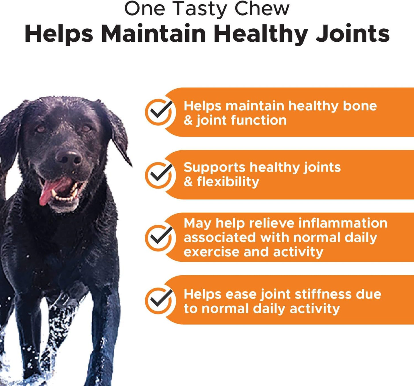 dog-vitamins-bundle---pethonesty-10-in-1-multivitamin-hip-joint-health-soft-chew-supplement-for-overall-dog-health---includes-glucosamine-chondroitin-omegas-turmeric-and-msm---joint-supplement-for-dogs-6