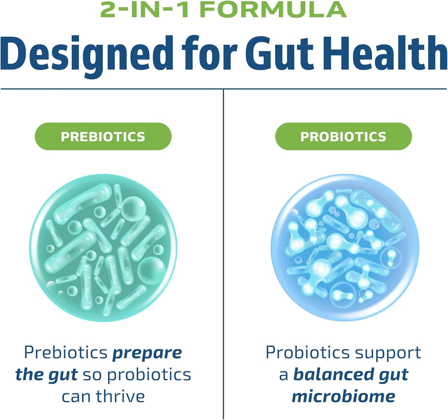 prebiotic-and-probiotic-supplement-for-gut-health-and-bloating-relief---60-ct-shelf-stable-capsules-with-20-billion-cfu-lactobacillus-bifidobacterium---vegetarian-formula-for-men-and-women-by-mav-nutrition-2