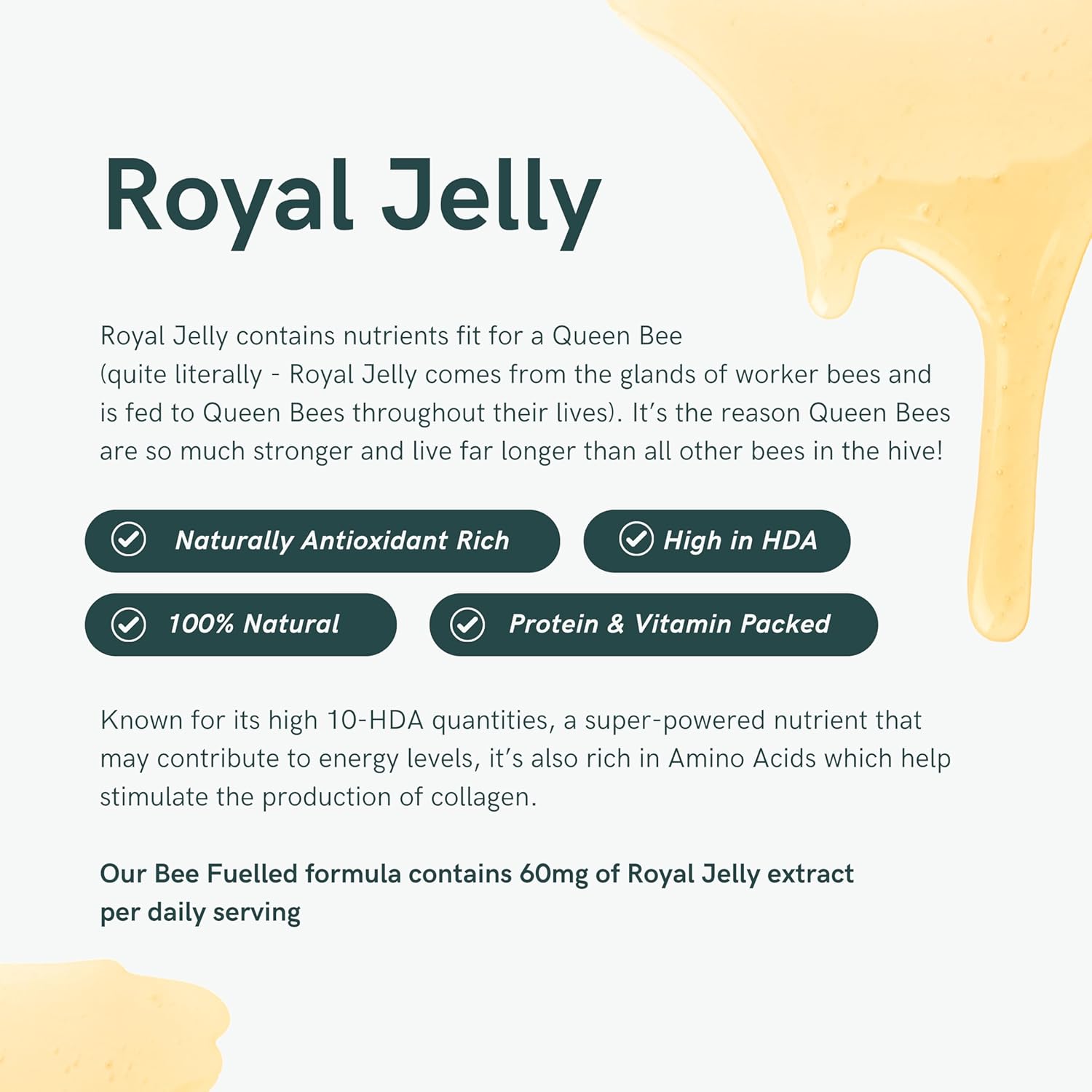 dr-sosnowskis-bee-fuelled-daily-energy-supplement---boost-mental-physical-energy-support-metabolism-fight-fatigue---60-vegetable-capsules-6