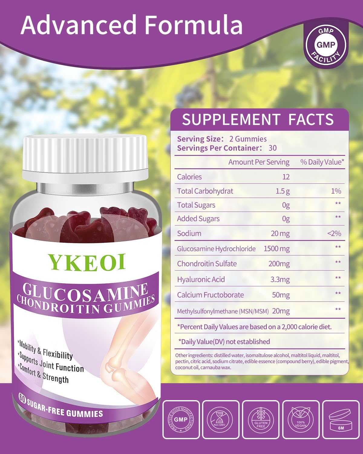 2-packs-sugar-free-glucosamine-chondroitin-gummies-with-msm-calcium-for-joint-support---men-and-women---cartilage-immune-supplement---mobility-comfort-flexibility-support-2
