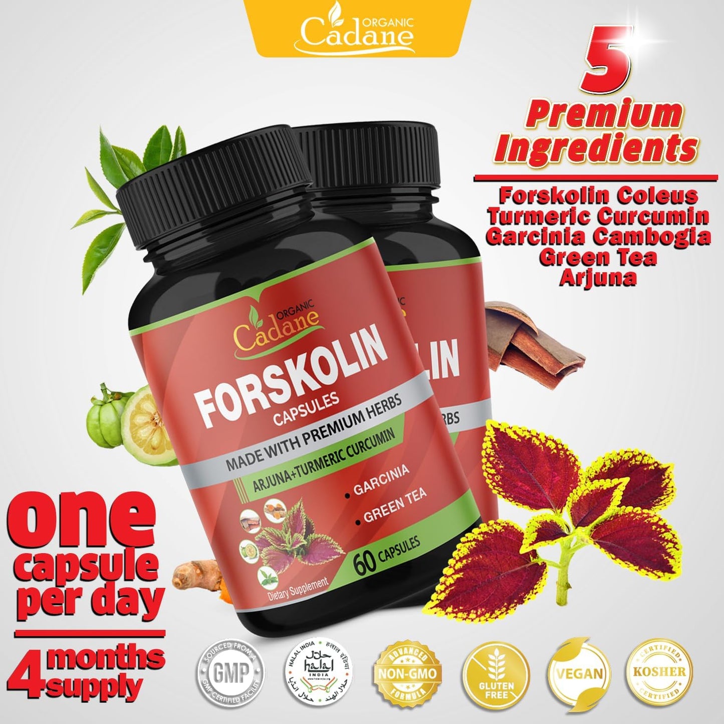 2-pack-organic-forskolin-supplements-capsules-with-turmeric-arjuna-garcinia-cambogia-green-tea---maximum-strength-coleus-forskohlii-extract---boost-energy-immune-system-support-6