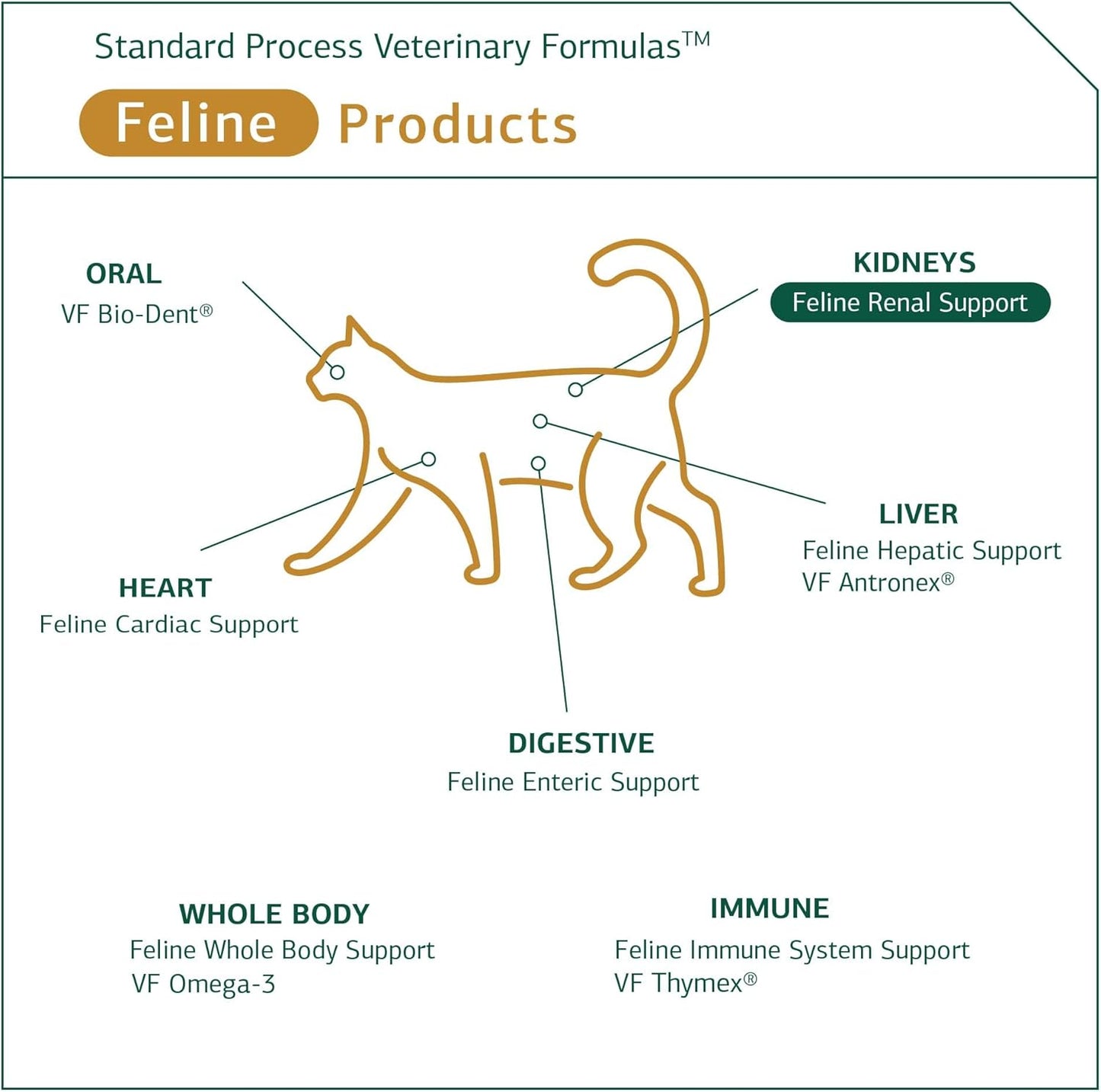 feline-renal-support-supplement-for-cat-kidney-urinary-health---90-whole-food-tablets-by-standard-process-inc-5