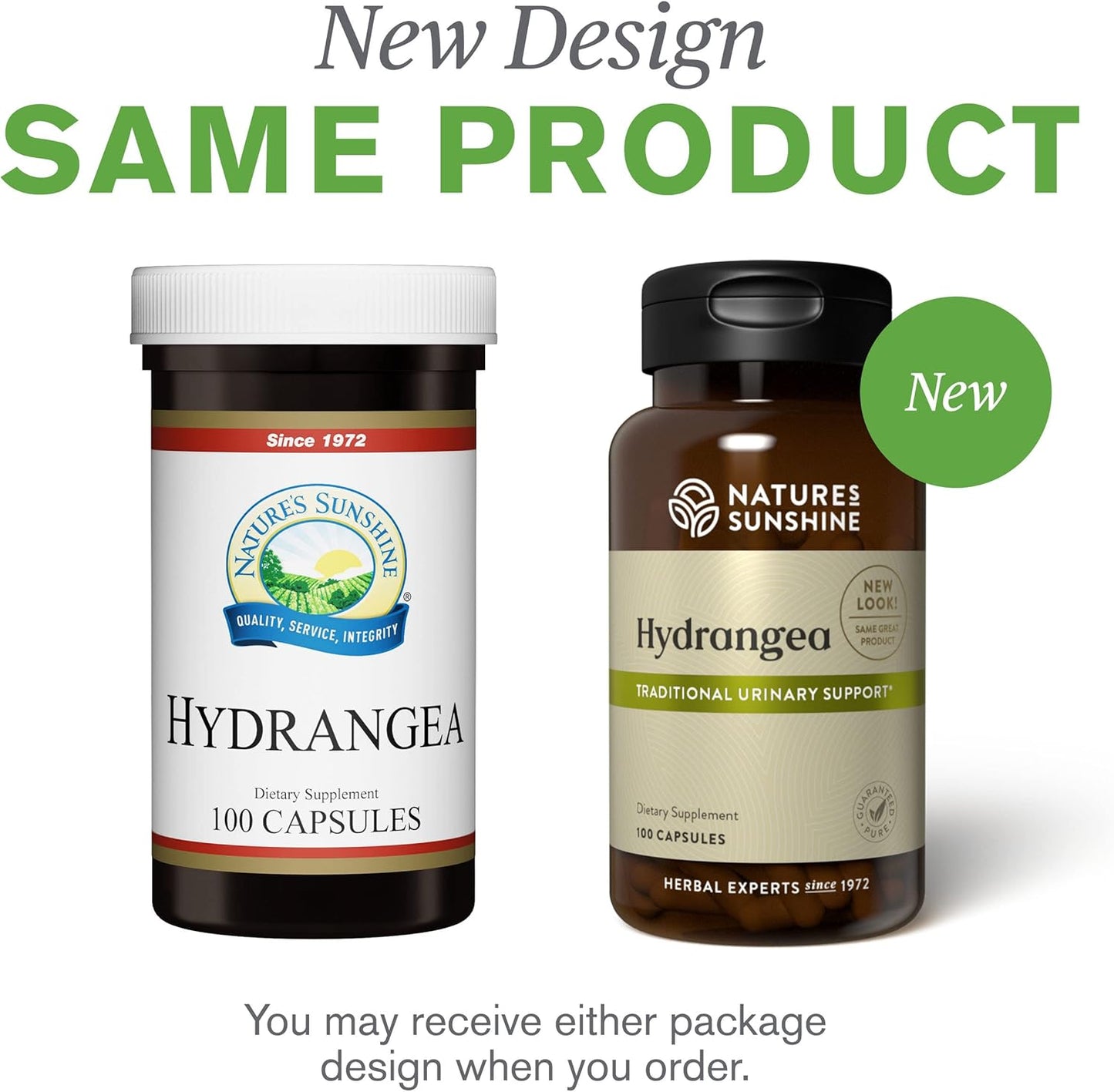pure-hydrangea-root-capsules---650mg-natural-urinary-system-kidney-support-7