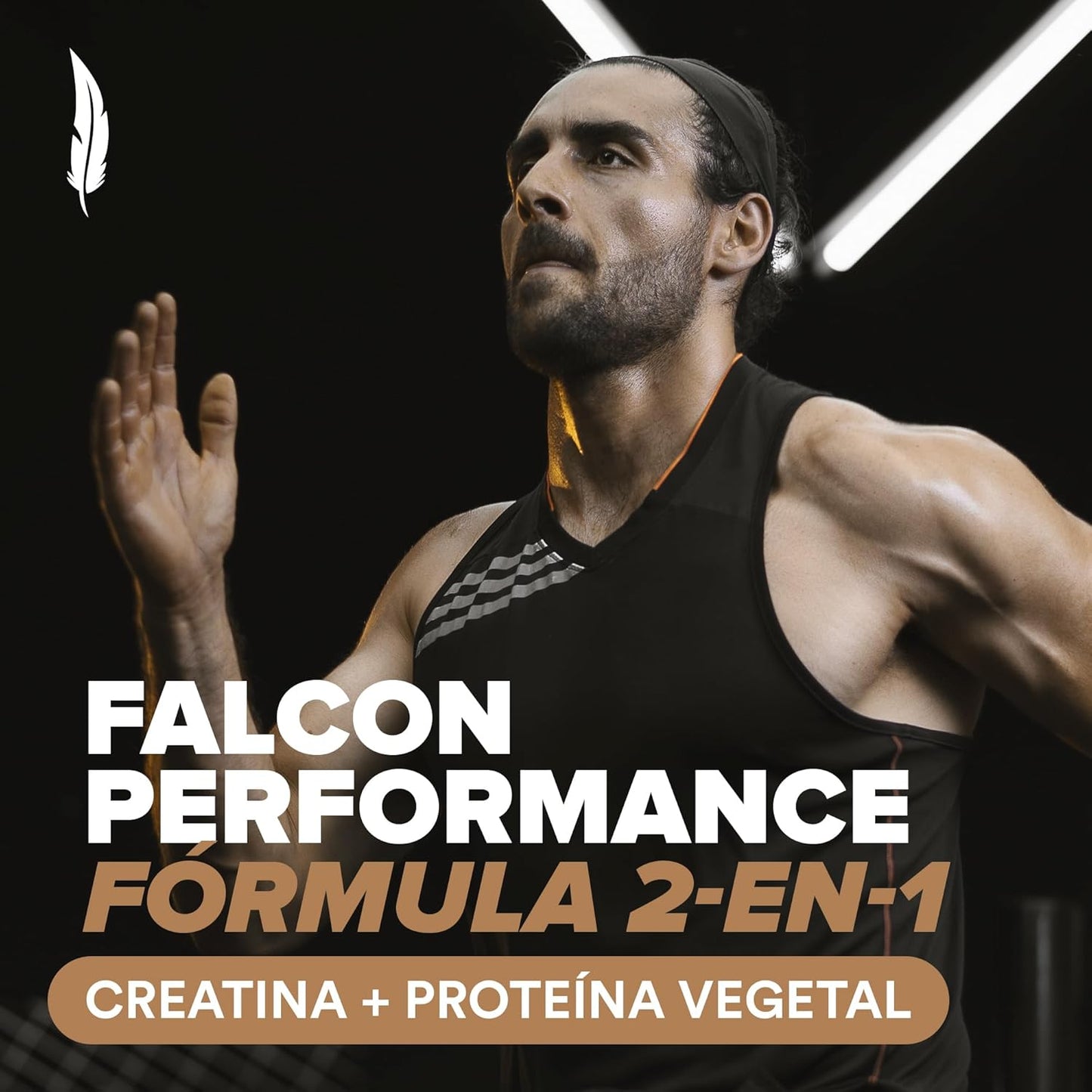 BIRDMAN Falcon Performance Premium Sport Protein Powder with Creatine - 31g Protein, 5g Creatine, Chocolate Flavor - 1.9Kg - Non-Inflammatory, Acne-Free Formula - Espot.com.au
