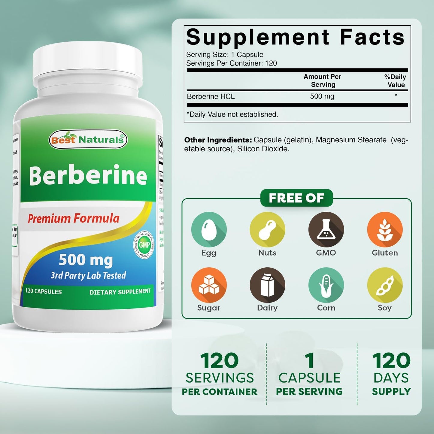 berberine-500mg-capsules---immune-cardiovascular-gastrointestinal-support---240-count-2-pack-2