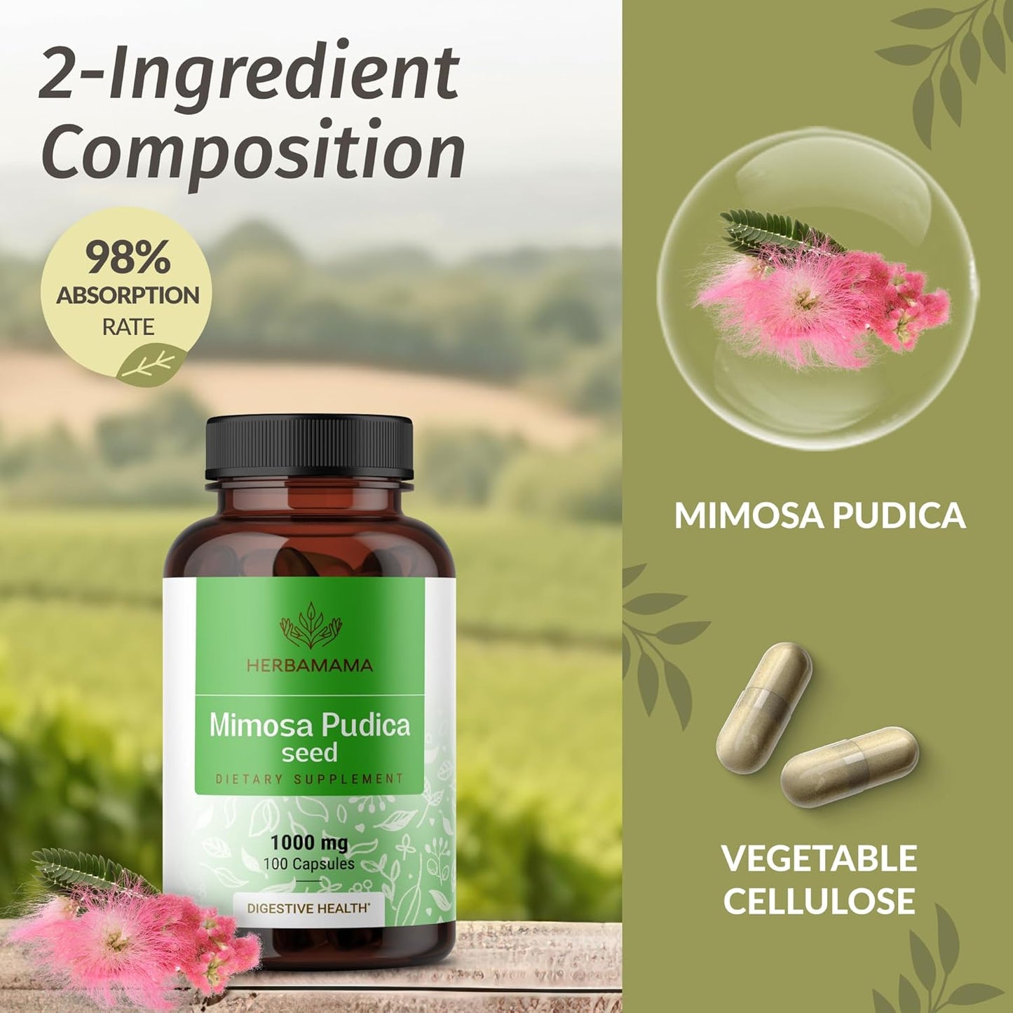 herbamama-mimosa-pudica-capsules-milk-thistle-tincture-bundle---1000mg-capsules-4-fl-oz-tincture---vegan-non-gmo-sugar-alcohol-free---2-pack-6