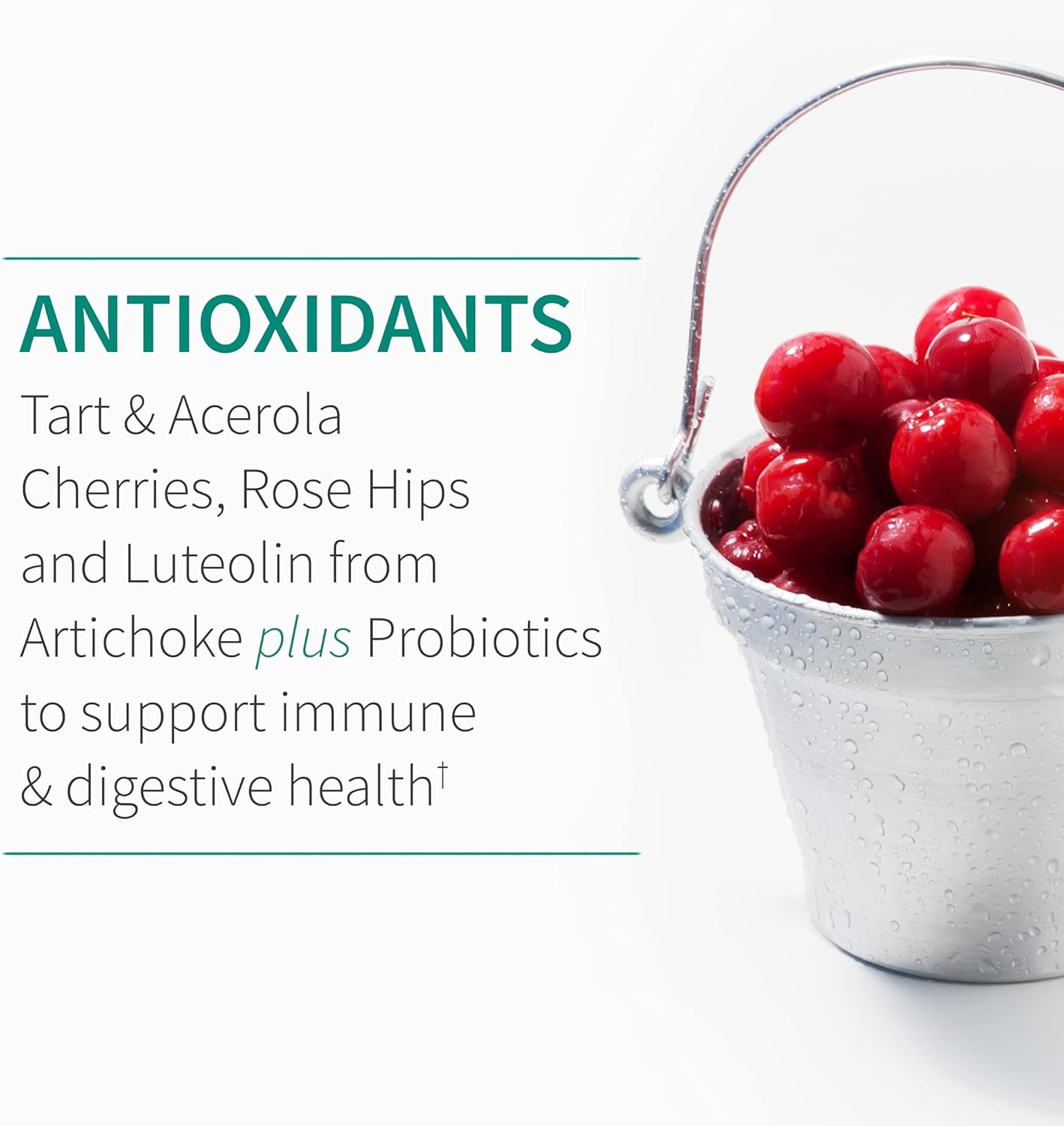 garden-of-life-quercetin-immune-support-supplement-with-vitamin-c-d-probiotics---dr-formulated-for-immune-respiratory-and-skin-health---gluten-free-non-gmo---30-tablets-7