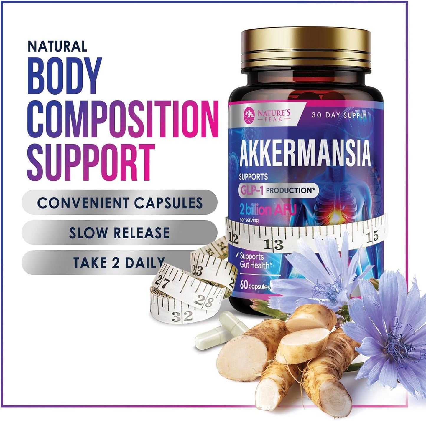 akkermansia-muciniphila-glp-1-probiotic-with-prebiotic-fiber-for-gut-health-immune-support---60-capsules-third-party-tested-6