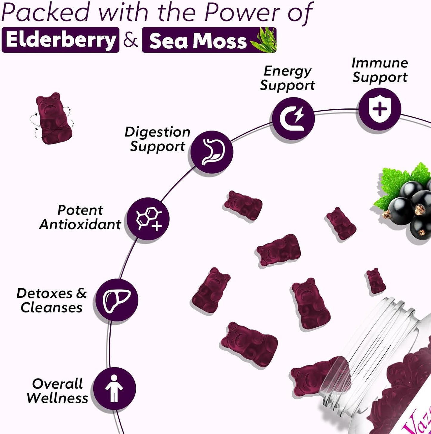 Blueberry Elderberry Gummies with Sea Moss, Bladderwrack, Echinacea, Apple Cider Vinegar - Vitamin C, D & Zinc Immune Support Supplement for Women, Men, Adults and Kids - 60 Ct - Espot.com.au