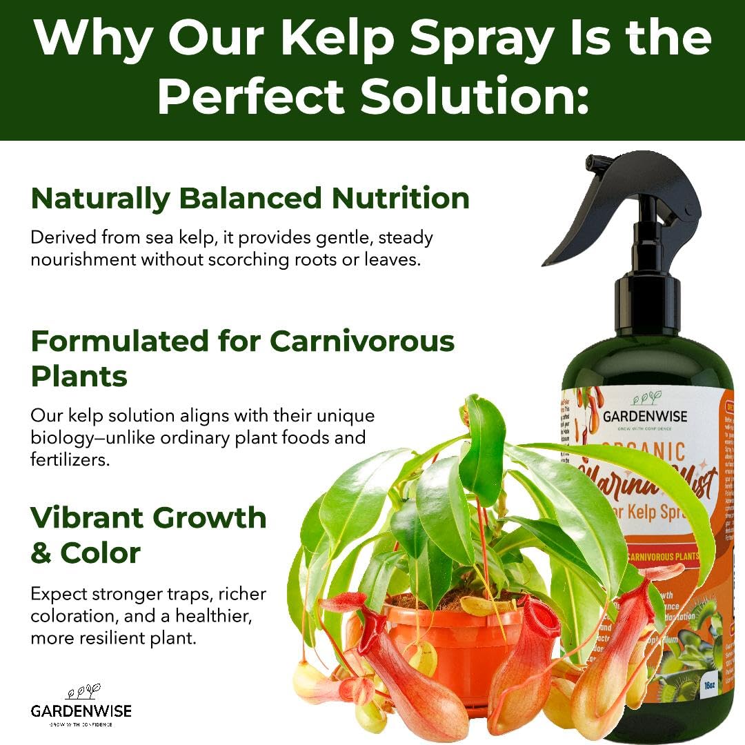 organic-liquid-kelp-foliar-spray-for-carnivorous-plants---100-natural-fertilizer-for-venus-flytraps-sundew-butterworts-pitcher-plants---8-oz-bottle-2