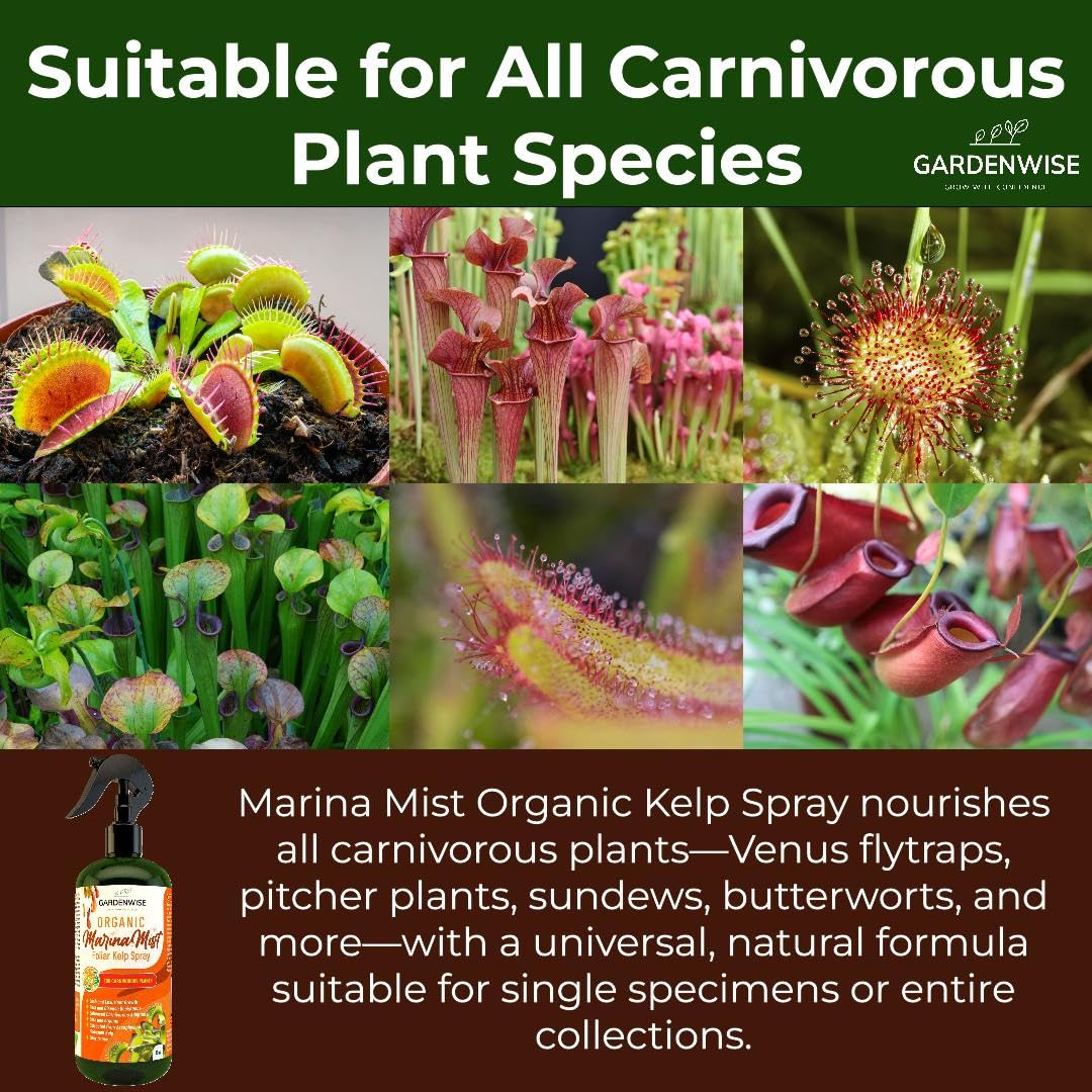 organic-liquid-kelp-foliar-spray-for-carnivorous-plants---100-natural-fertilizer-for-venus-flytraps-sundew-butterworts-pitcher-plants---8-oz-bottle-3