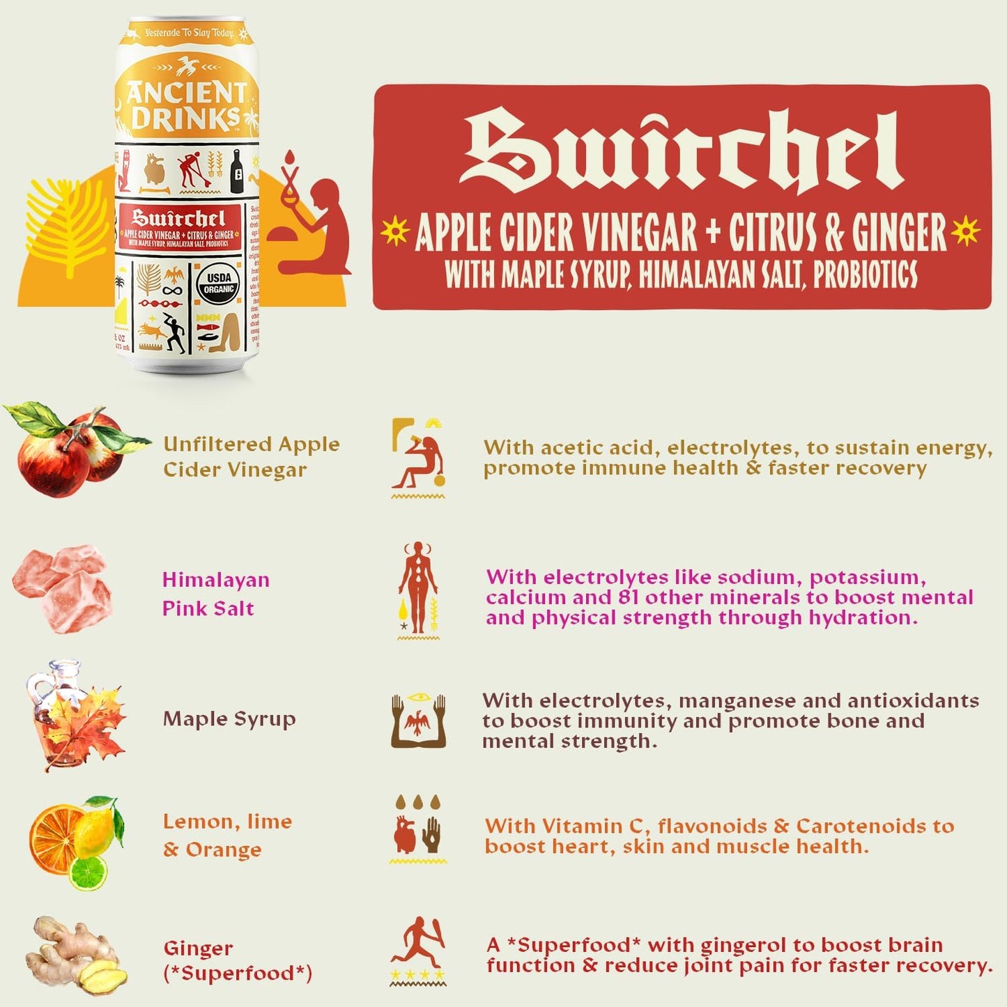 organic-apple-cider-vinegar-sports-drink-with-electrolytes-vitamins-probiotics---citrus-ginger-switchel---16-fl-oz-12-cans-3