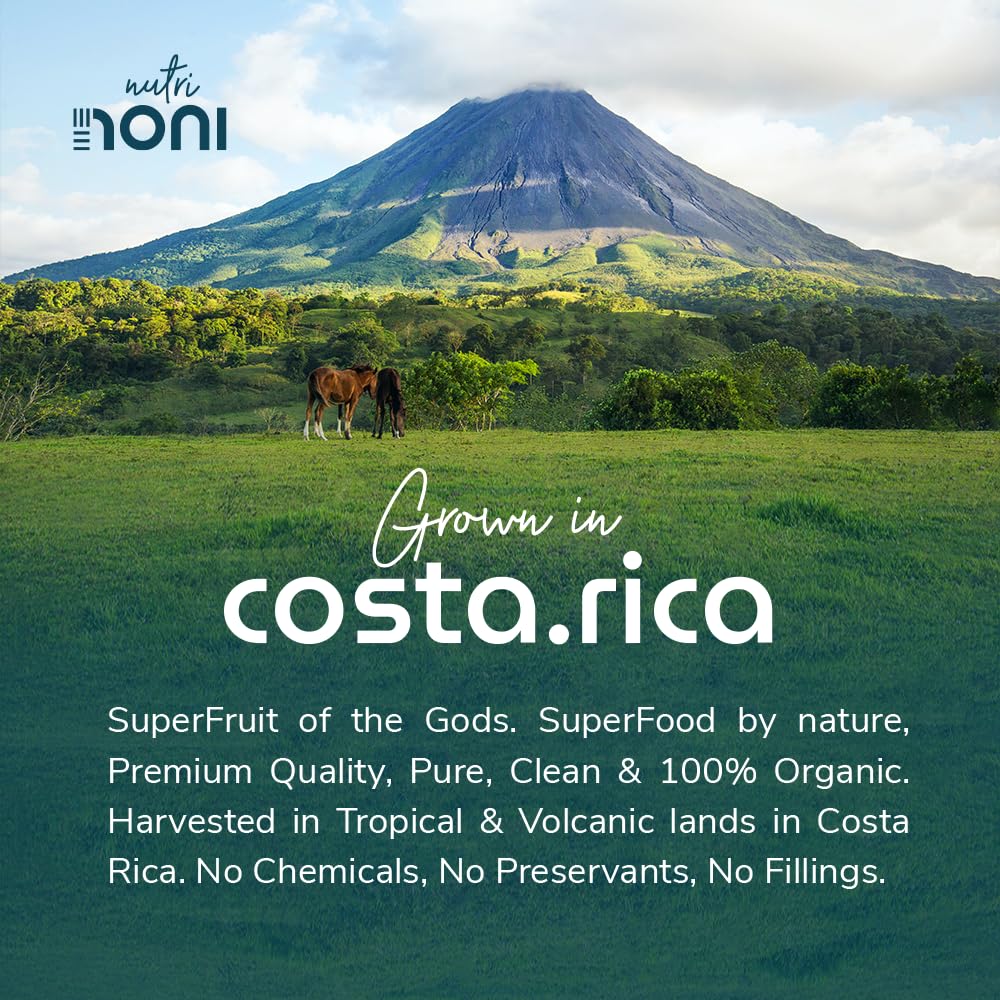 costa-rican-organic-noni-tea---100-pure-noni-leaf-sprouts-broken-leaf---25-servings---loose-leaf-tea-4