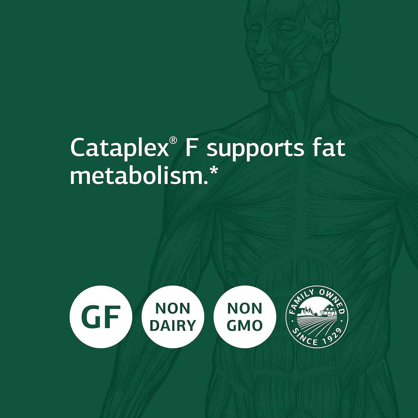 whole-food-supplement-for-metabolism-skin-and-hair-health---standard-process-cataplex-f---60-softgels-3