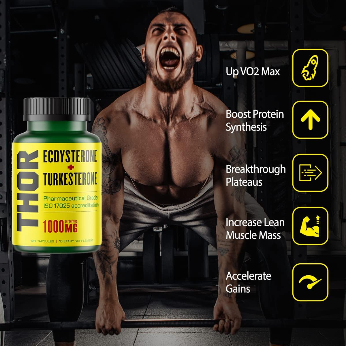 Flight Armour Turkesterone and Ecdysterone Anabolic Supplement - 2 Month Supply (120 Capsules) | Olympic Grade Tested, ISO 17025 Certified | 1000mg - 98%-95% Purity with Lab Synthesized Cyclodextrin - Espot.com.au