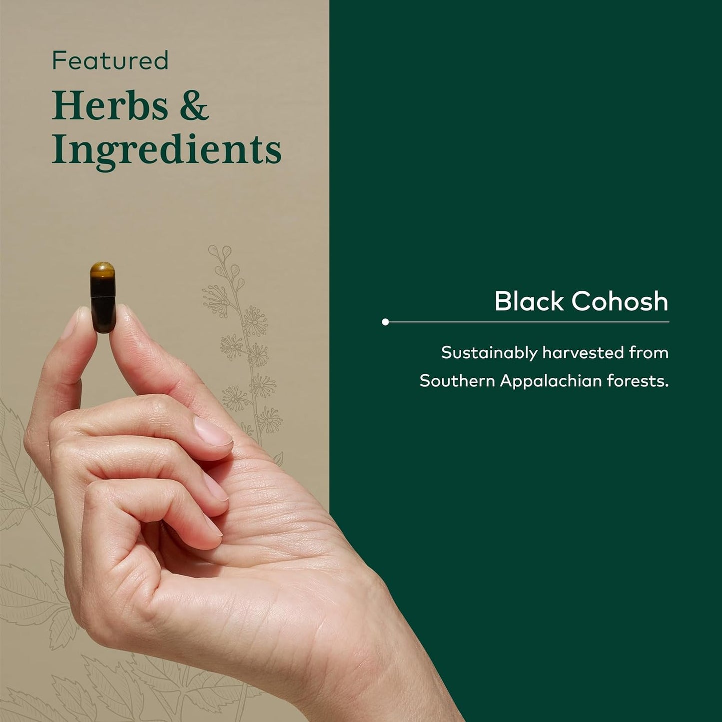gaia-herbs-black-cohosh-herbal-supplements-for-menopause-support---60-vegan-liquid-phyto-capsules---hormone-balance-for-women-4