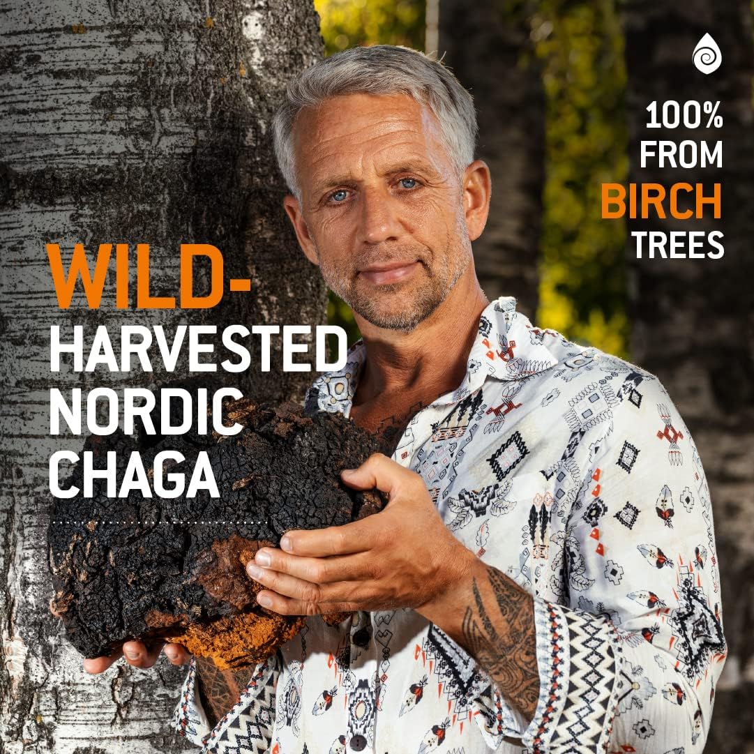 Organic Chaga Mushroom and Black Garlic Capsules - Antioxidant Immune Support Supplement - Nordic Forest Mushrooms - 1500mg - 90 ct - Espot.com.au