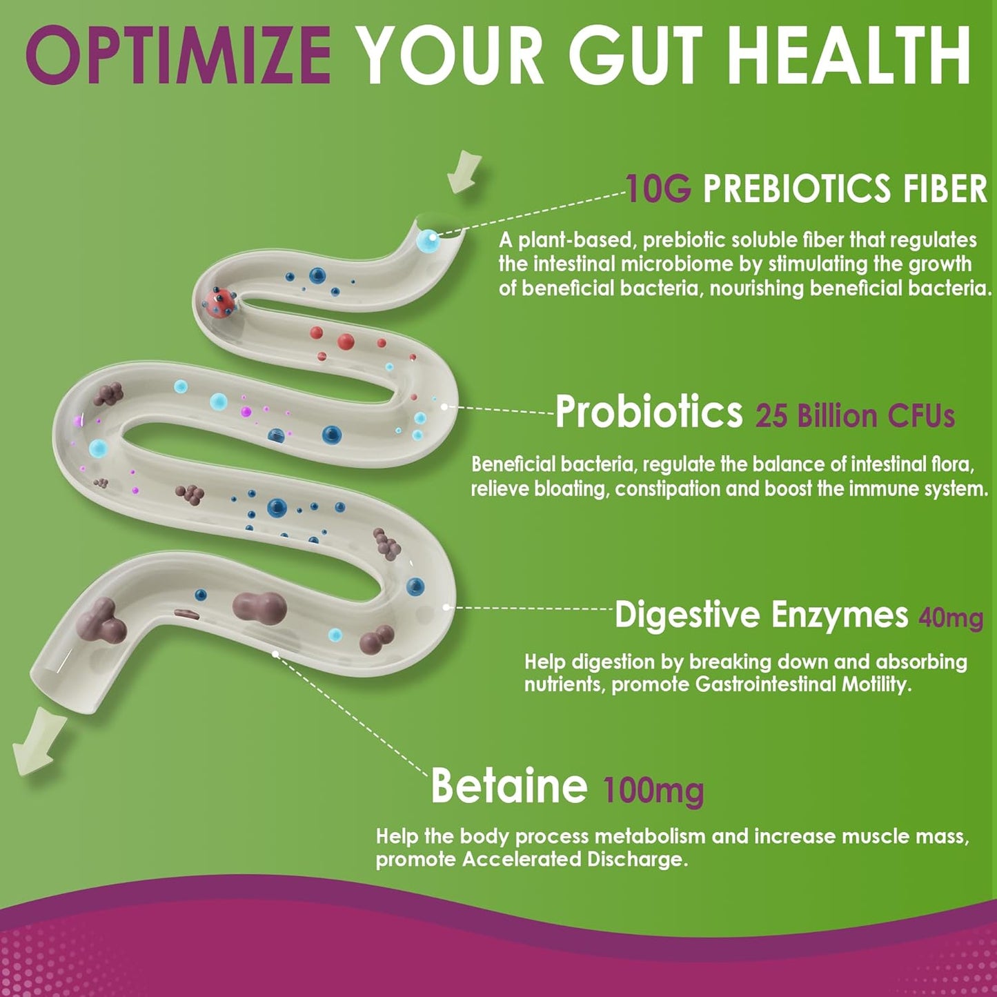 vegan-omega-3-gummies-with-turmeric-and-fiber---1000mg---nextdia-9