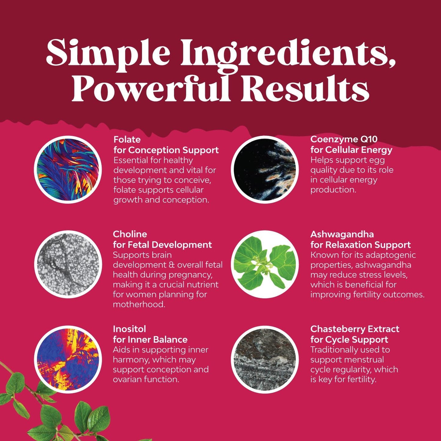 fertility-gummy-supplement-for-women-with-myo-inositol-folic-acid---vegan-non-gmo-peach-gummies---supports-conception---60-servings-5