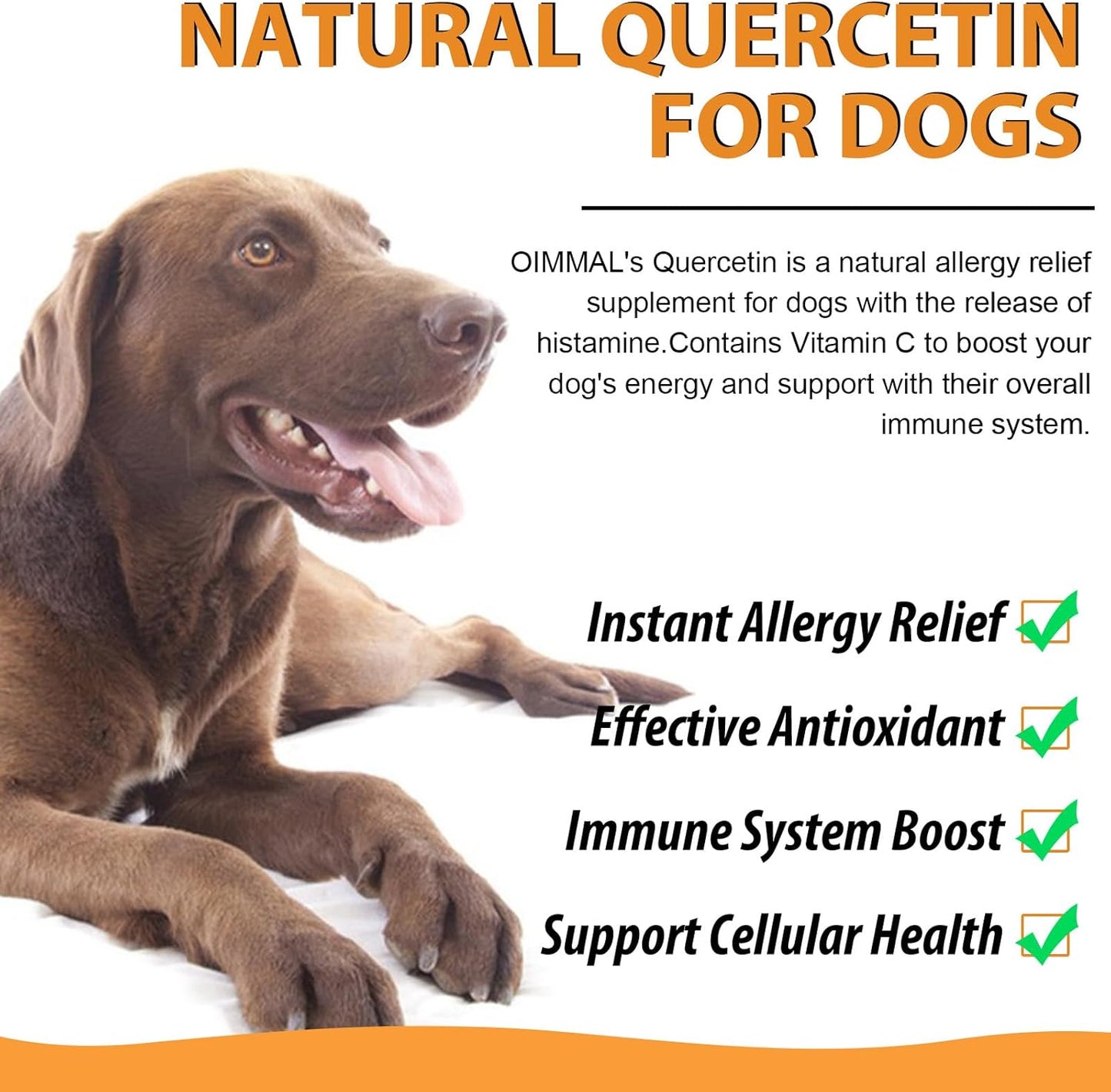 quercetin-supplement-with-vitamin-c-for-dogs-allergy-relief-immune-support-anti-itch-formula-for-dogs-8