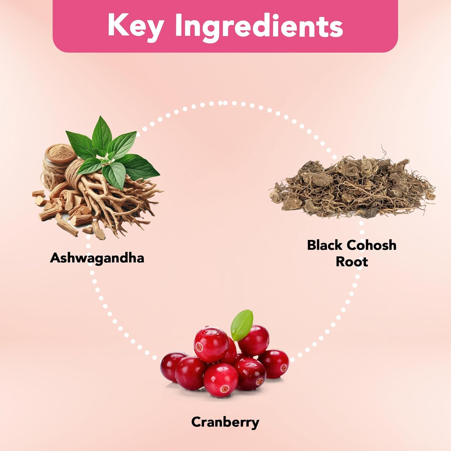 vitamin-bounty-womens-probiotic-with-cranberry---60-capsules-10-billion-cfus-supports-vaginal-digestive-health-ph-balance-6