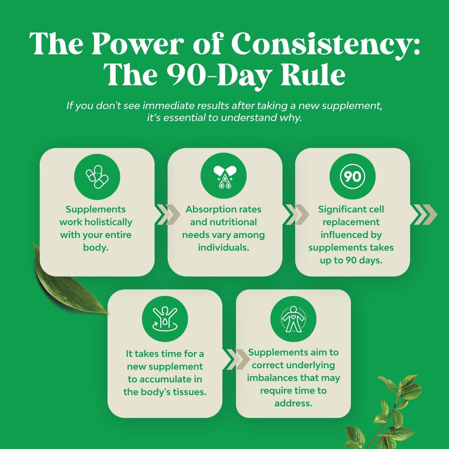 purified-ox-bile-salts-supplement-with-pancreatin-betaine-hcl---digestive-enzymes-for-gallbladder-support-and-health---2-month-supply-9