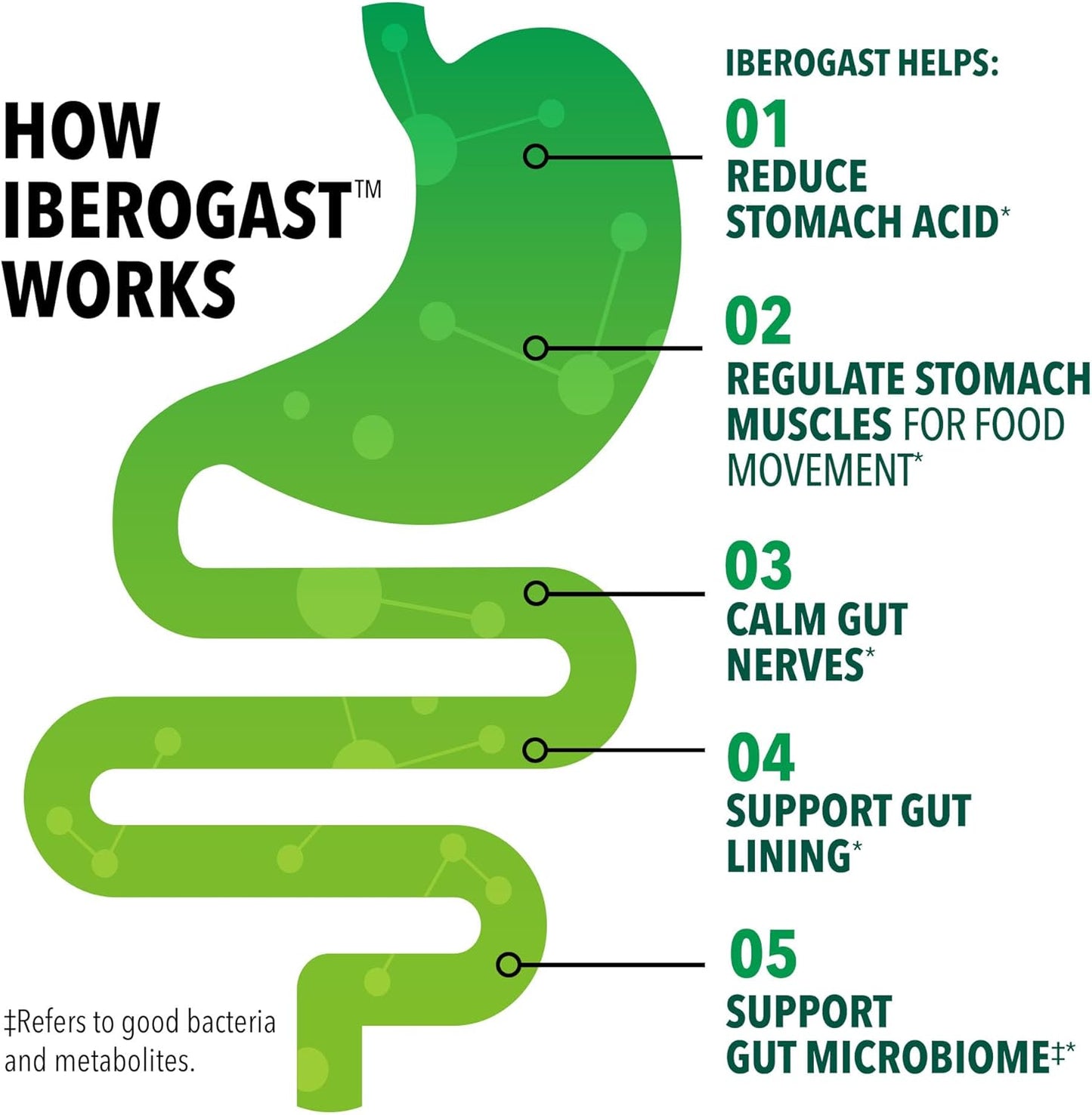 herbal-relief-liquid-drops-for-stomach-upsets---6-herb-blend-with-iberis-amara-peppermint-licorice---gluten-free---50ml-3