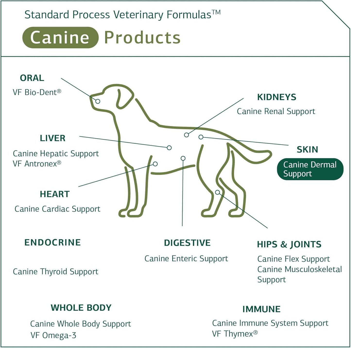 standard-process-canine-skin-and-adrenal-gland-support-supplement---immune-and-liver-health-powder-for-dogs---30g-5