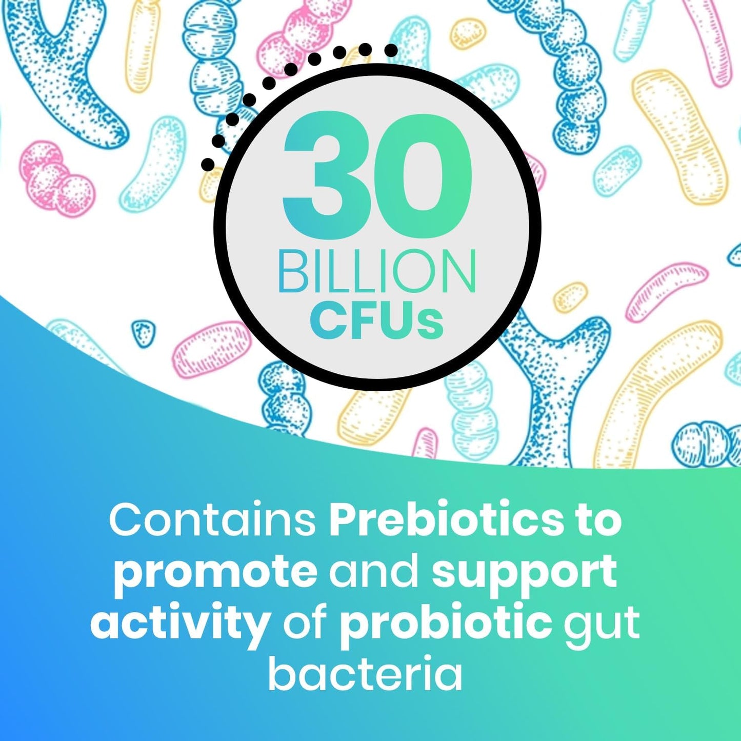 EchoHeals CEUTICALS Acidophilus Probiotic - 30 Billion CFUs for Digestive & Immune Health - 60 Capsules - Espot.com.au