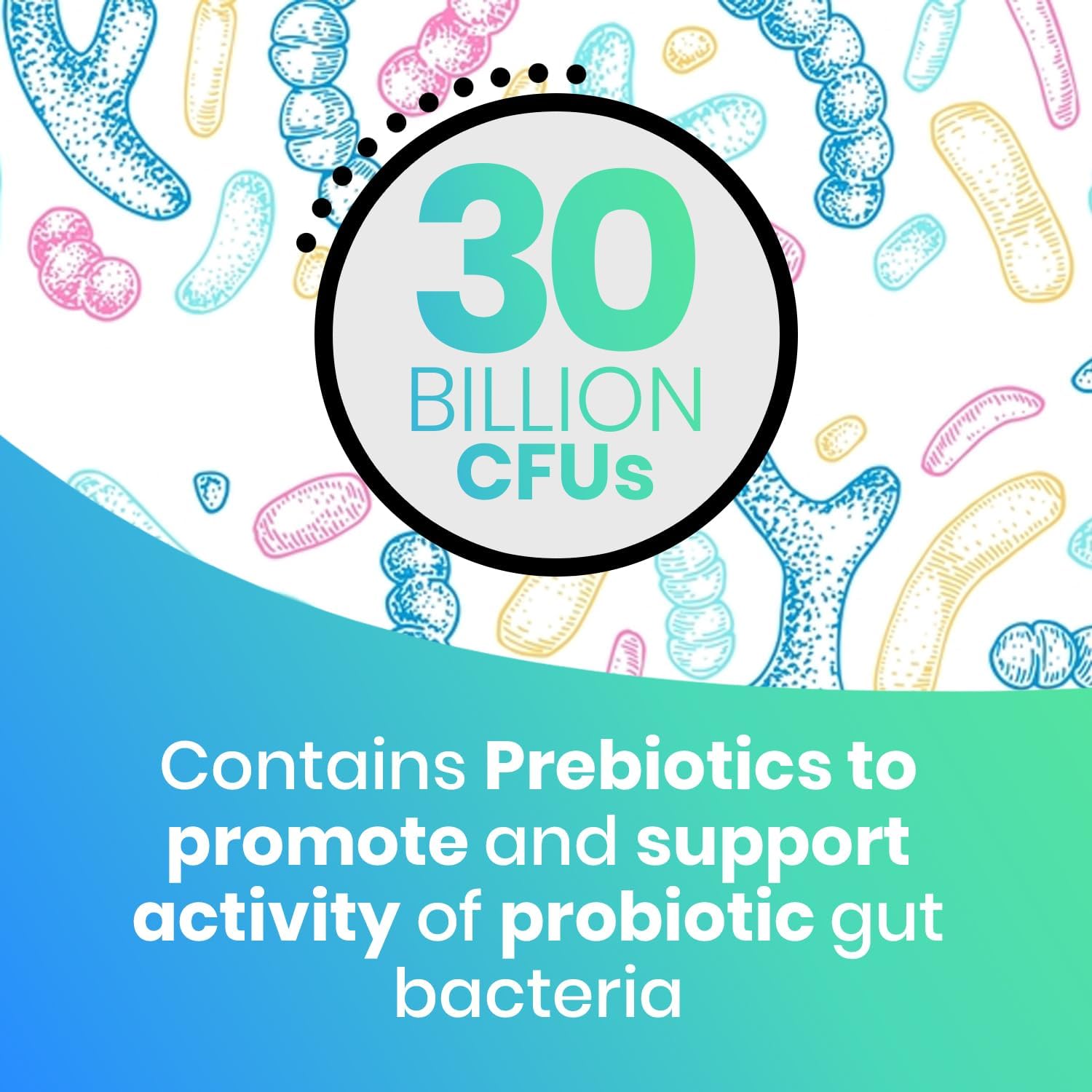 EchoHeals CEUTICALS Acidophilus Probiotic - 30 Billion CFUs for Digestive & Immune Health - 60 Capsules - Espot.com.au