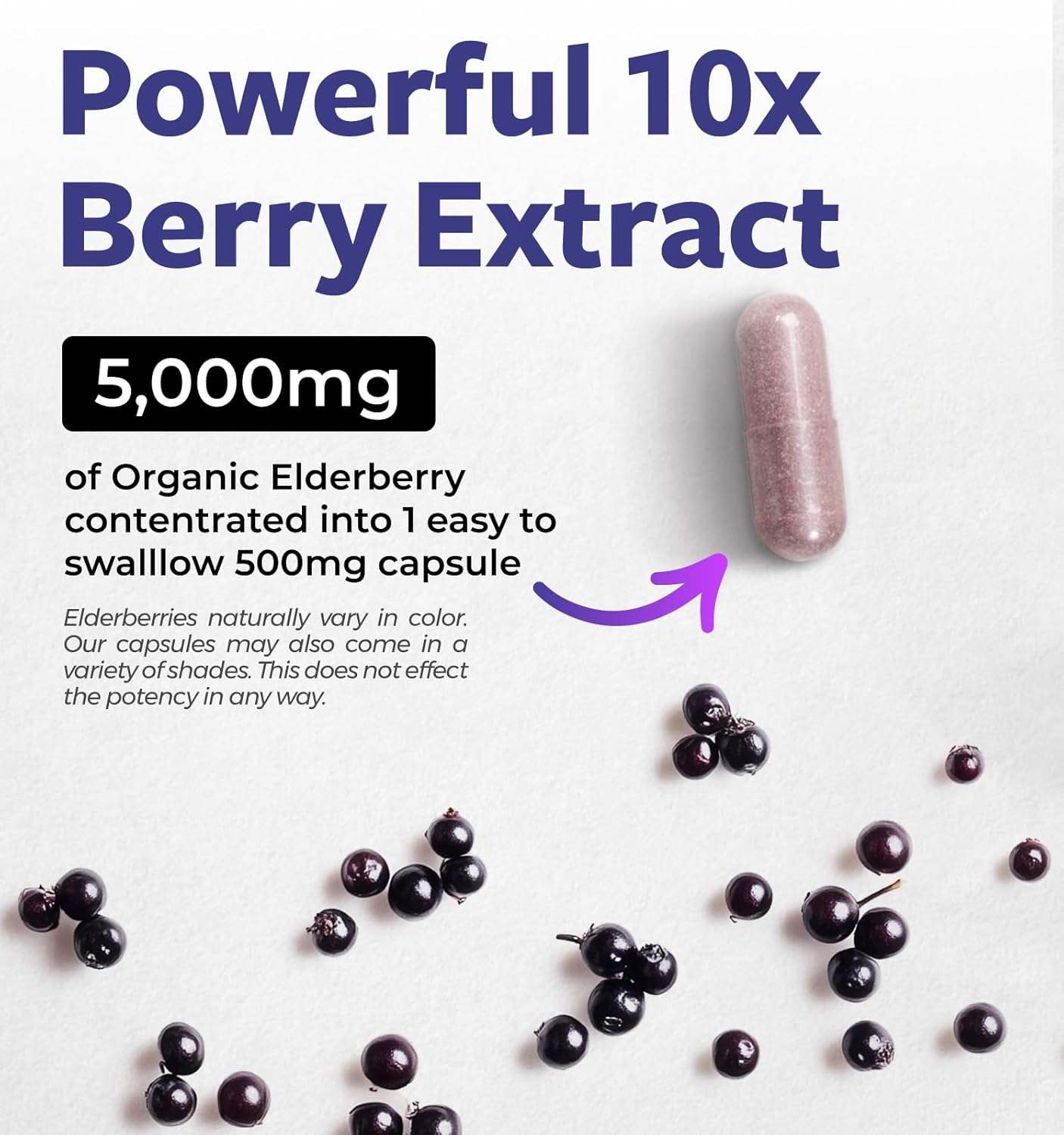 organic-elderberry-capsules---101-extract-equivalent-to-5000mg-of-fresh-elderberries---vegan-immune-support-allergy-sinus-relief---sambucus-nigra---black-elderberry---30-capsules-3