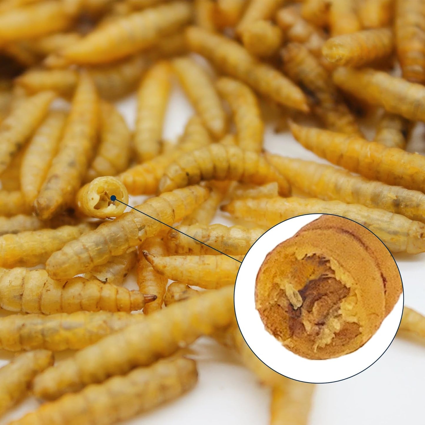 5lb-dried-black-soldier-fly-larvae-chicken-feed---high-calcium-natural-diet-for-molting-laying-hens-ducks-birds-reptiles-and-hedgehogs-8