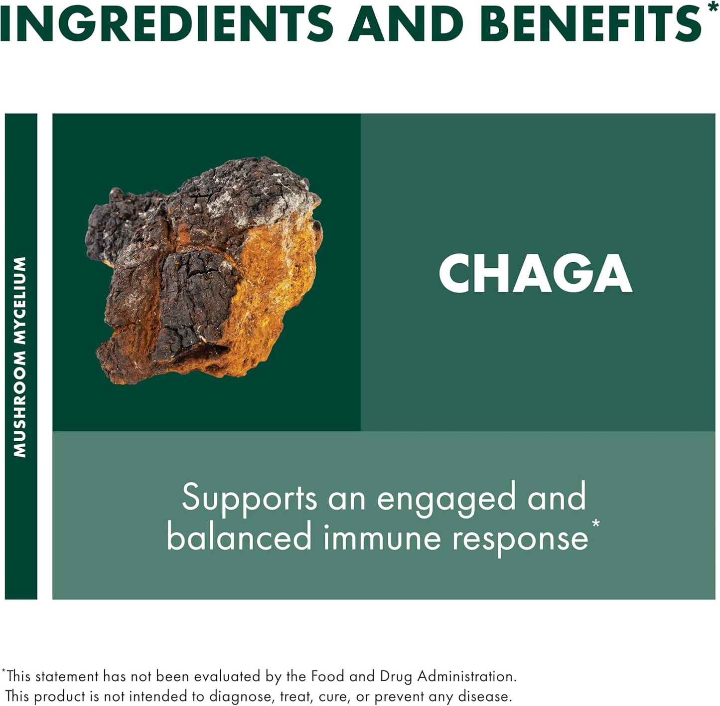 chaga-mushroom-capsules-for-immune-system-support---antioxidant-supplement---dietary-mushroom-supplement---60-capsules-4