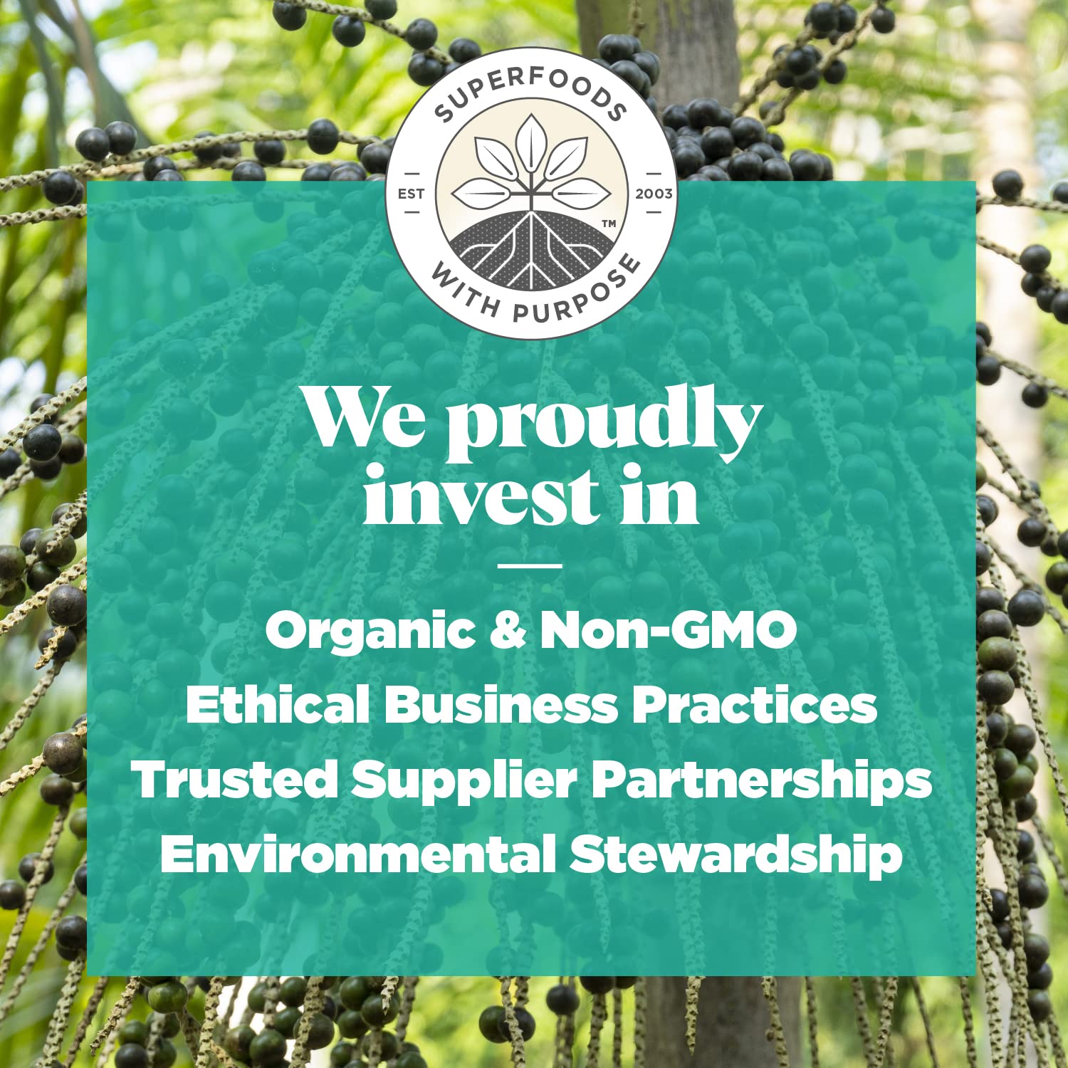 navitas-organics-acai-powder-8-oz-bag---76-servings-organic-non-gmo-freeze-dried-gluten-free-supplement-6