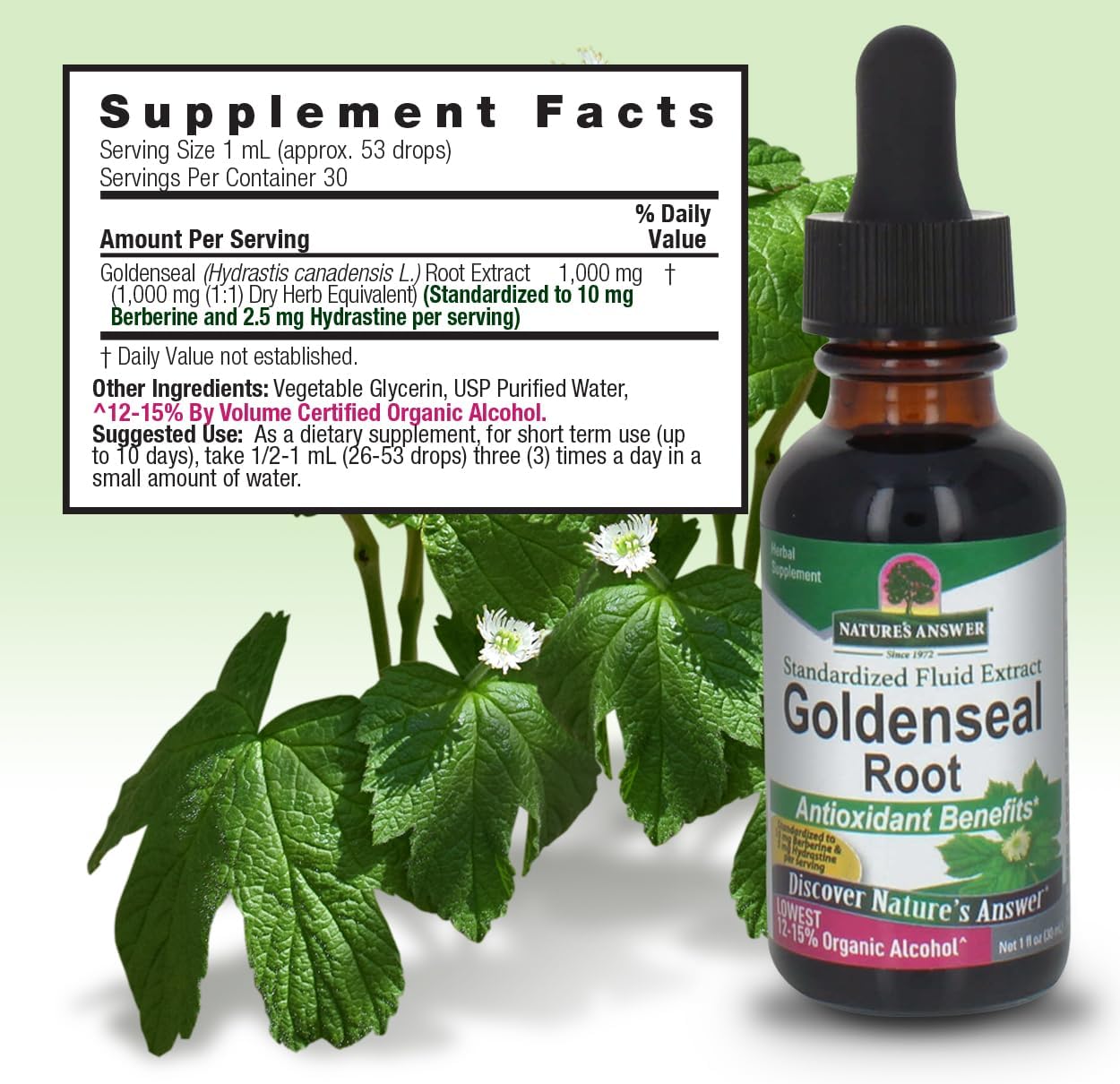 organic-alcohol-goldenseal-root-extract-1oz---immune-support-wellness-boost---gluten-free---single-bottle-4